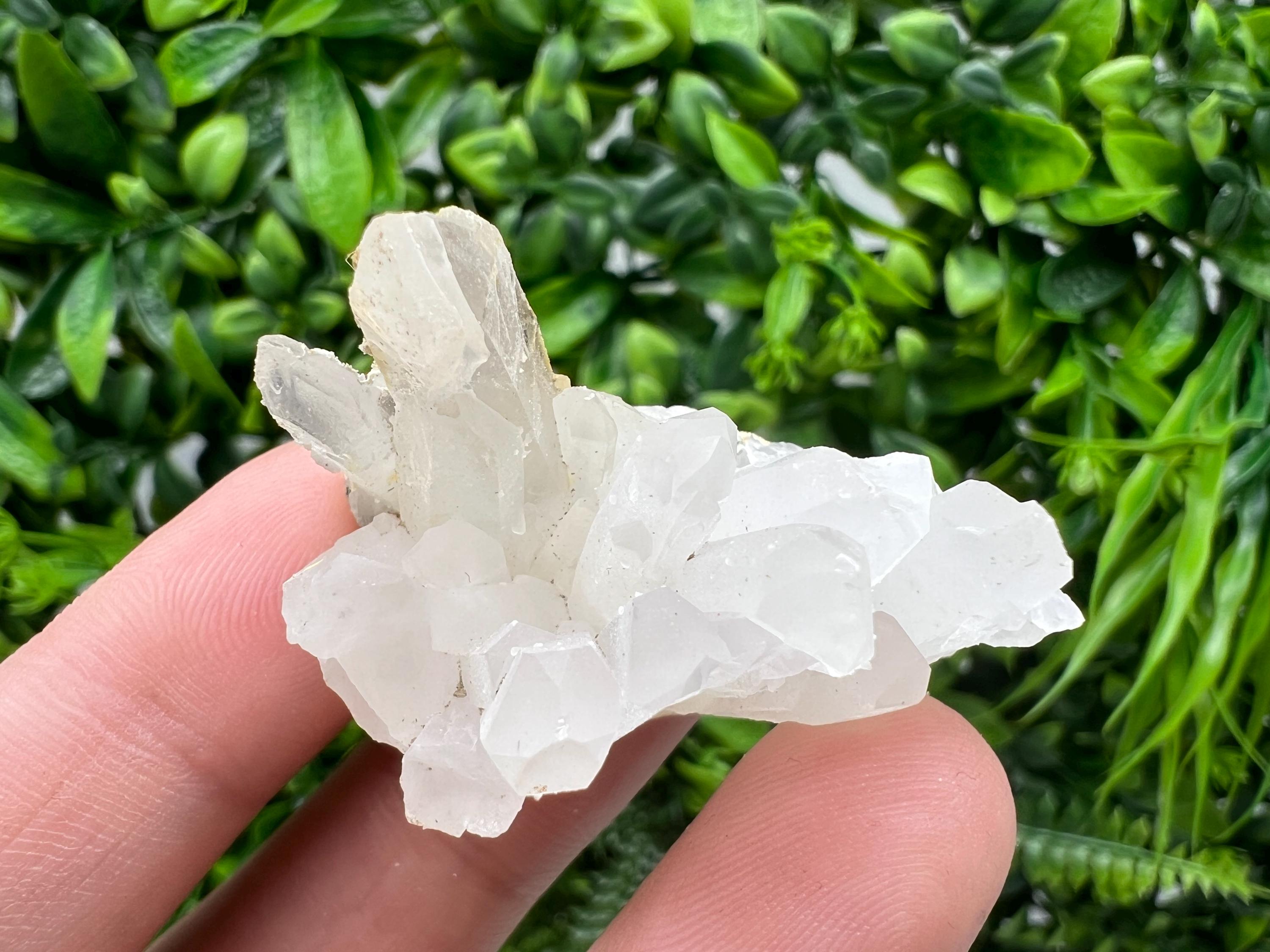 Transparent Quartz on Chlorite Matrix, Borieva Mine, Bulgaria