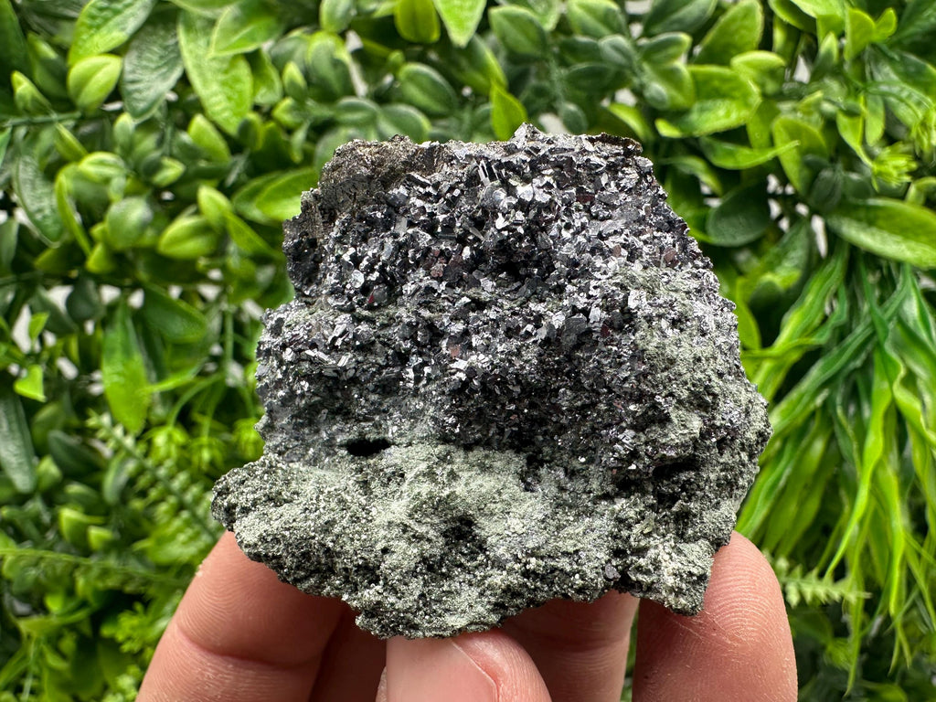 Skeletal Galena on Chlorite Matrix, Borieva Mine Mineral Specimen