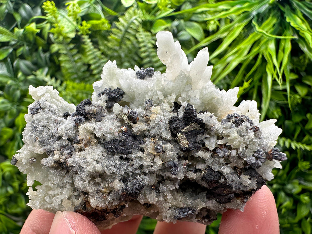 Chalcopyrite on Green Quartz: Madan Bulgaria Crystal Decor