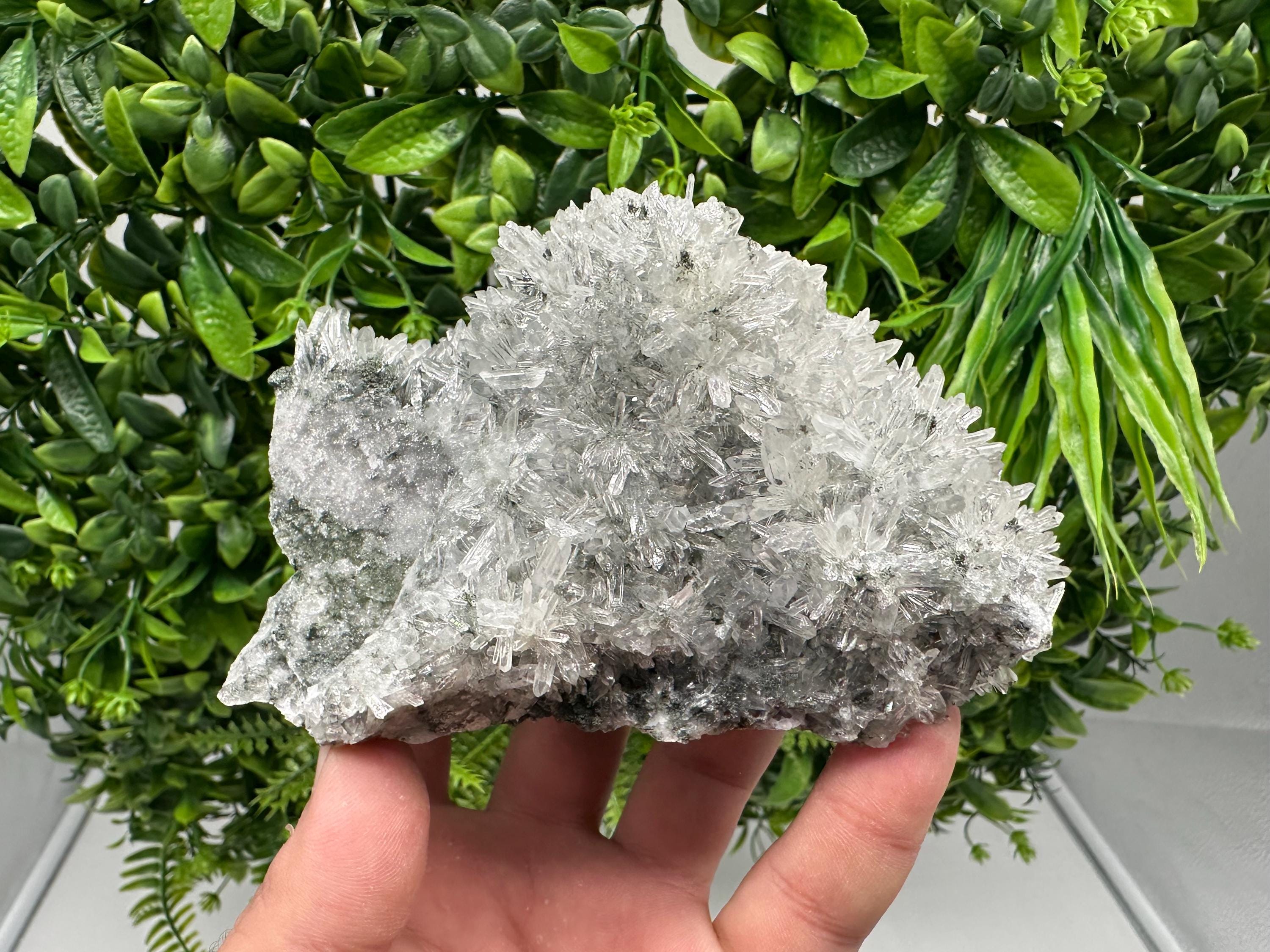Transparent Quartz on Chlorite Matrix, Borieva Mine, Bulgaria