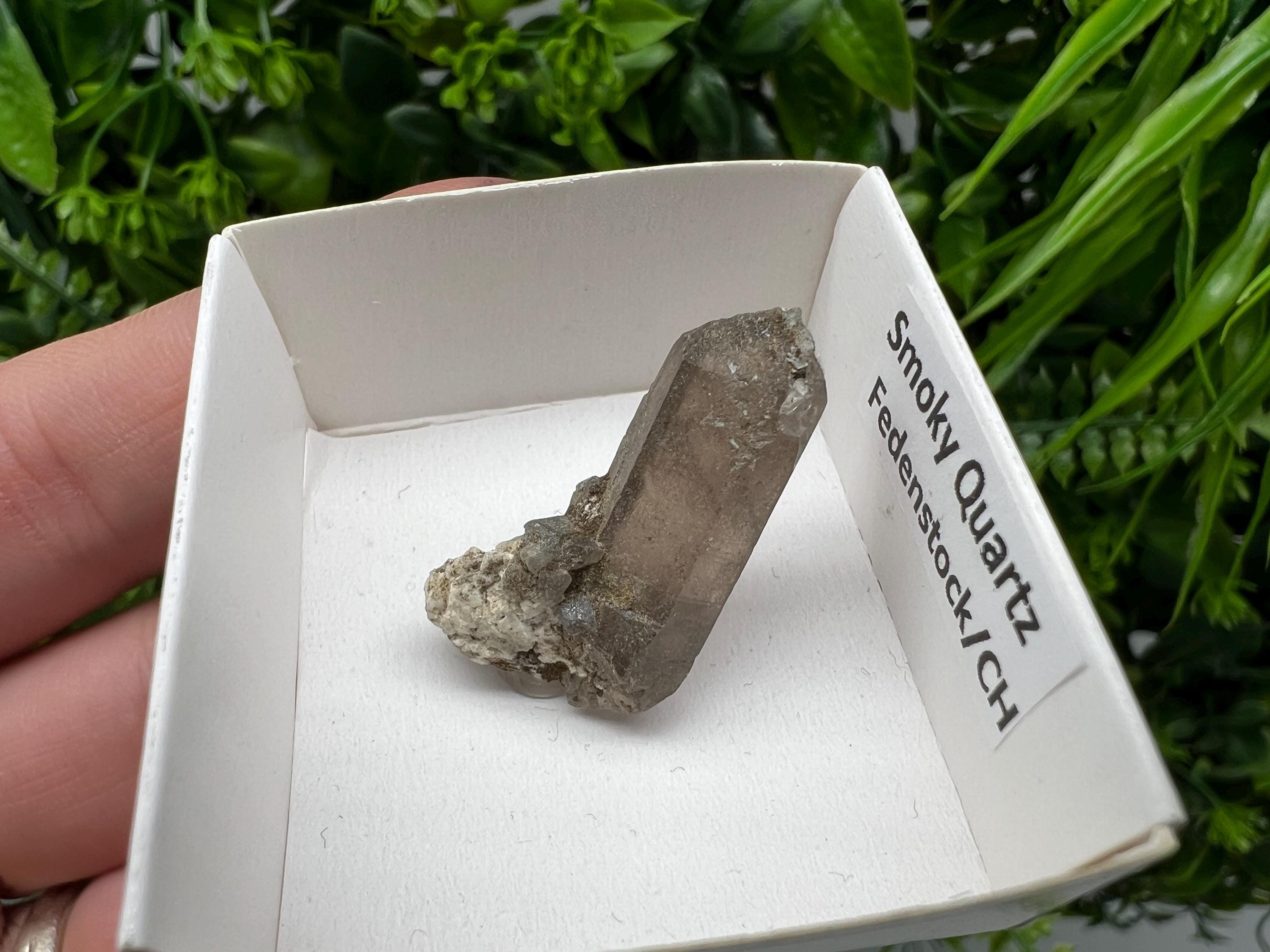 Rare Fedenstock Smoky Quartz, Swiss Mineral Specimen