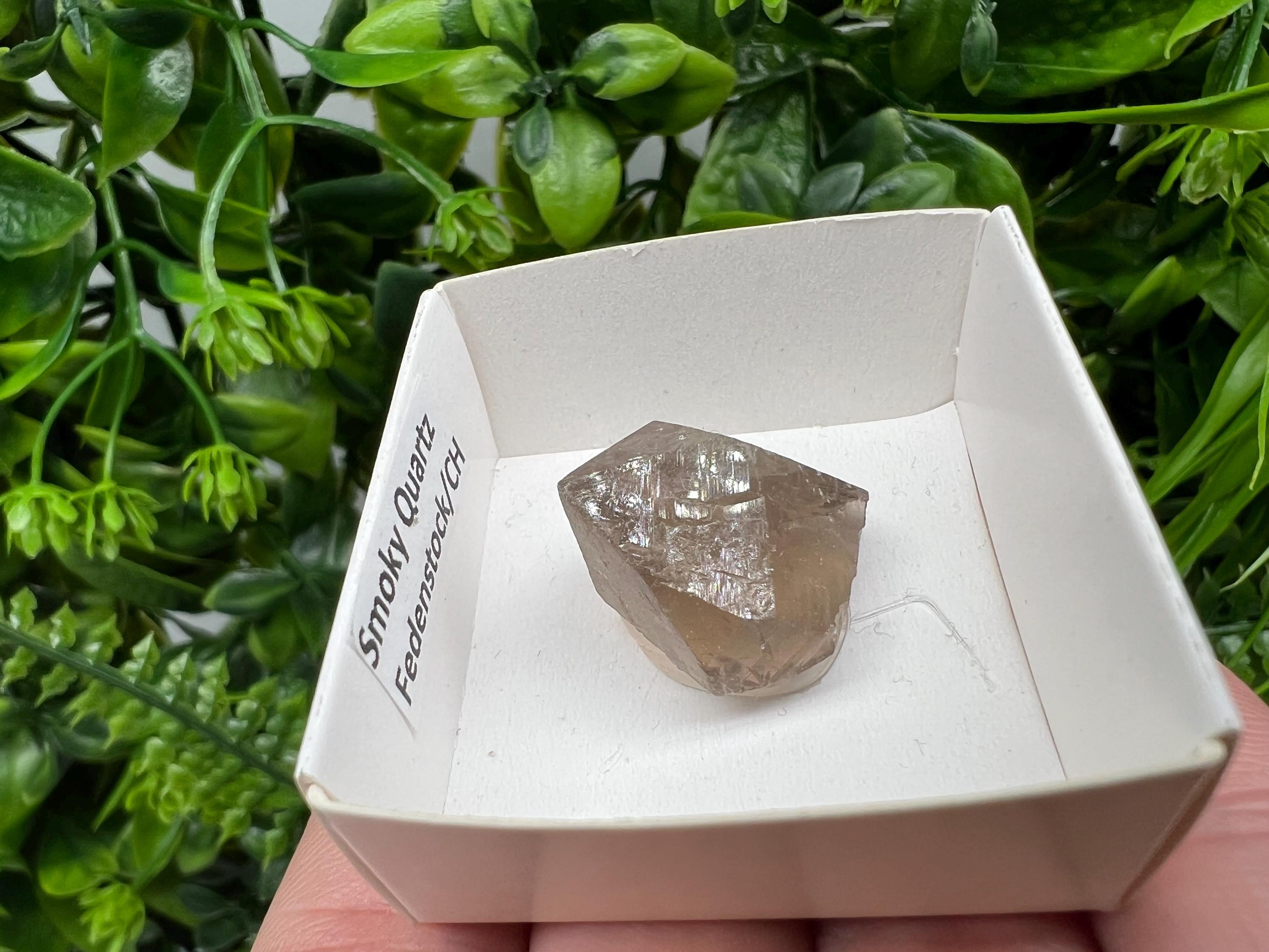 Rare Smoky Quartz Point, Fedenstock Switzerland Mineral Specimen (22/22 MM)