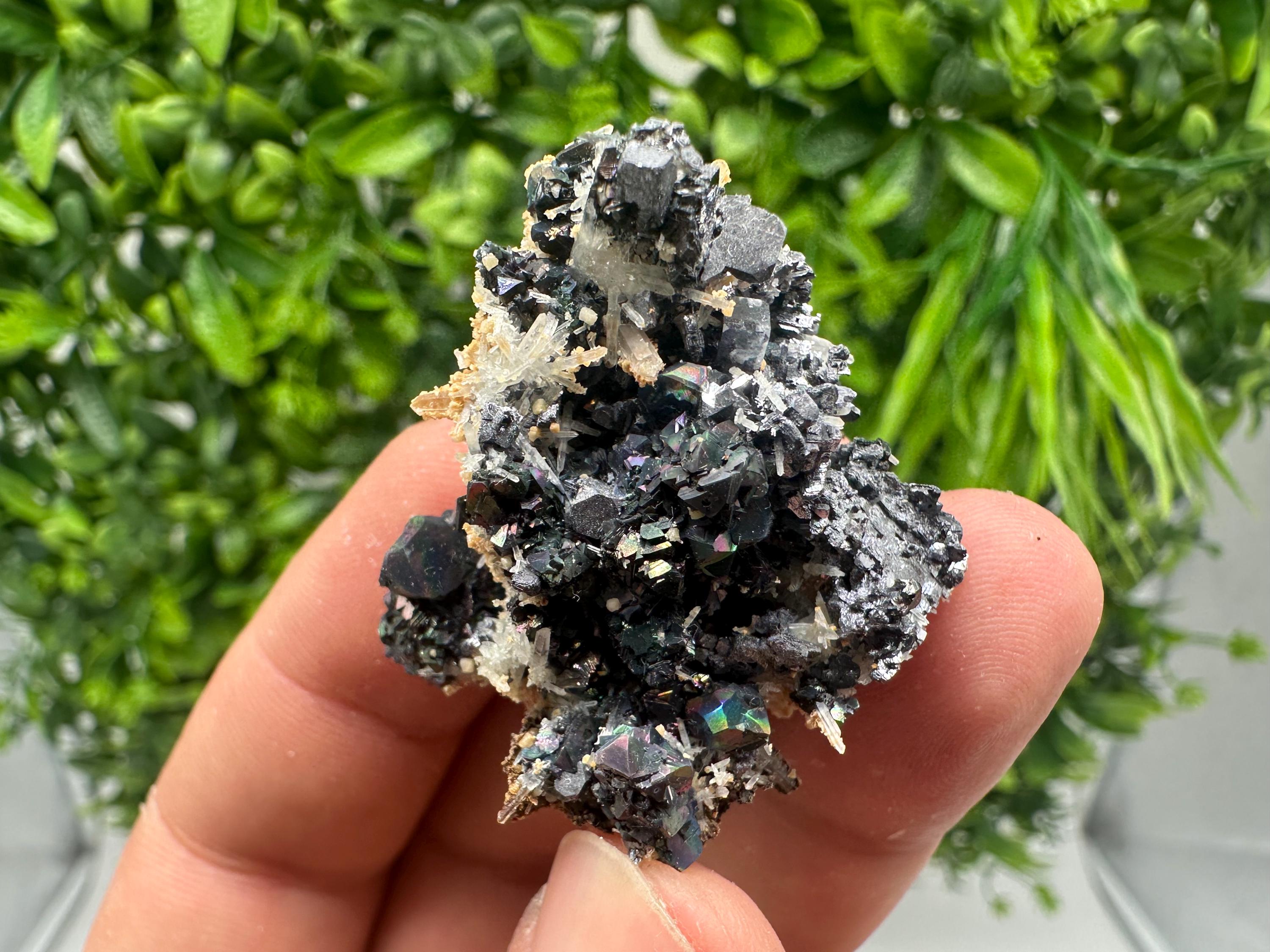 Wonderful Galena,Sphalerite,Siderite on Quartz from 9th September mine,Madan,Bulgaria,natural,collection mineral specimen,crystal,gift,decor
