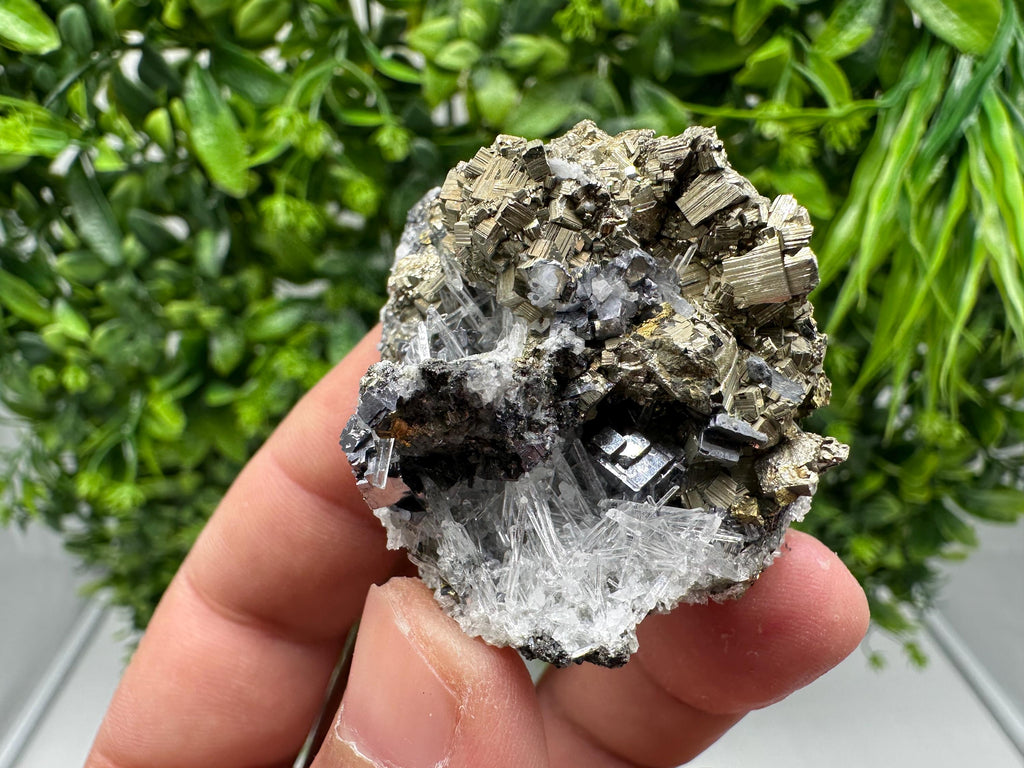 Rainbow Pyrite with Quartz: Natural Mineral Souvenir, Bulgaria