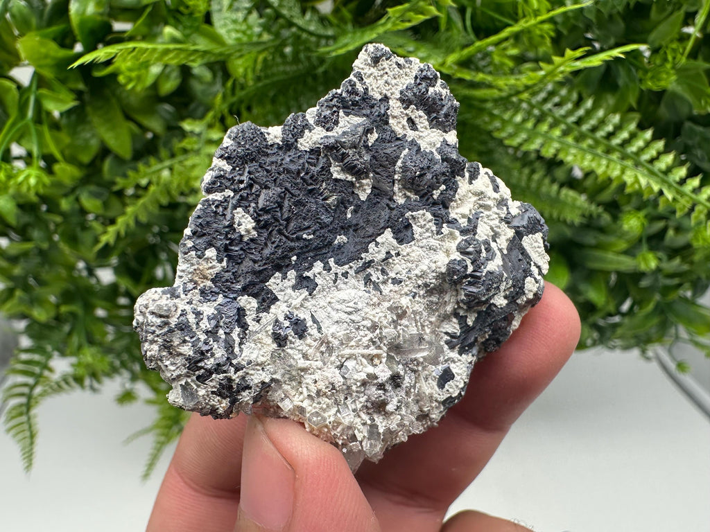 Galena Spinel Law Mineral Specimen: Krushev dol, Bulgaria