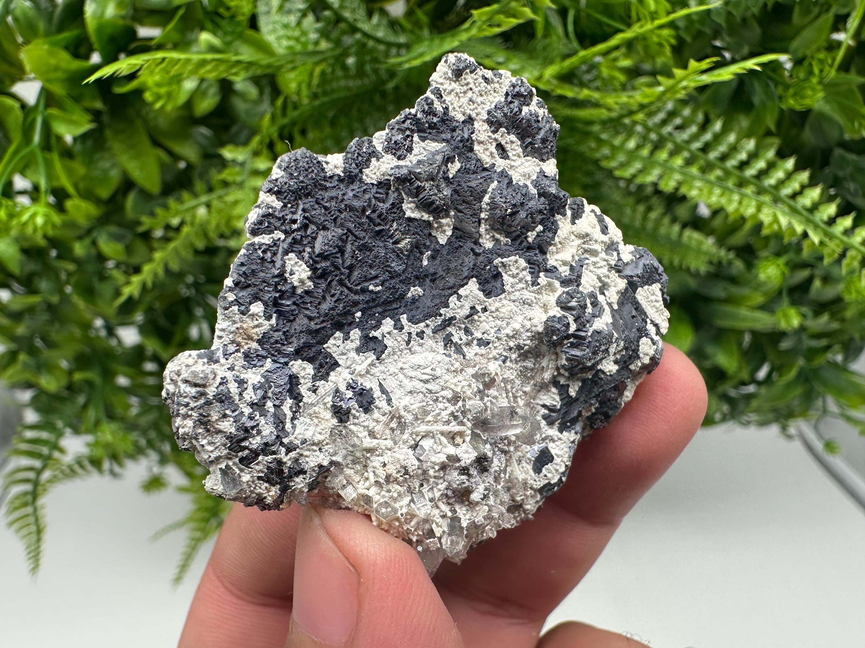 Galena Spinel Law Mineral Specimen: Krushev dol, Bulgaria