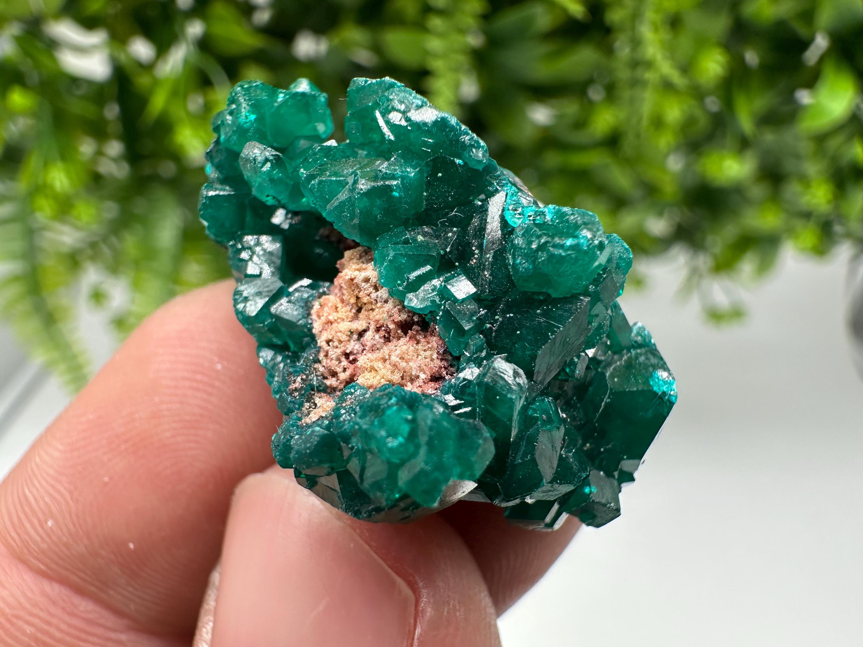 Green Dioptase Crystal Specimen, Sanda Hills Congo Mineral, Collector\'s Piece