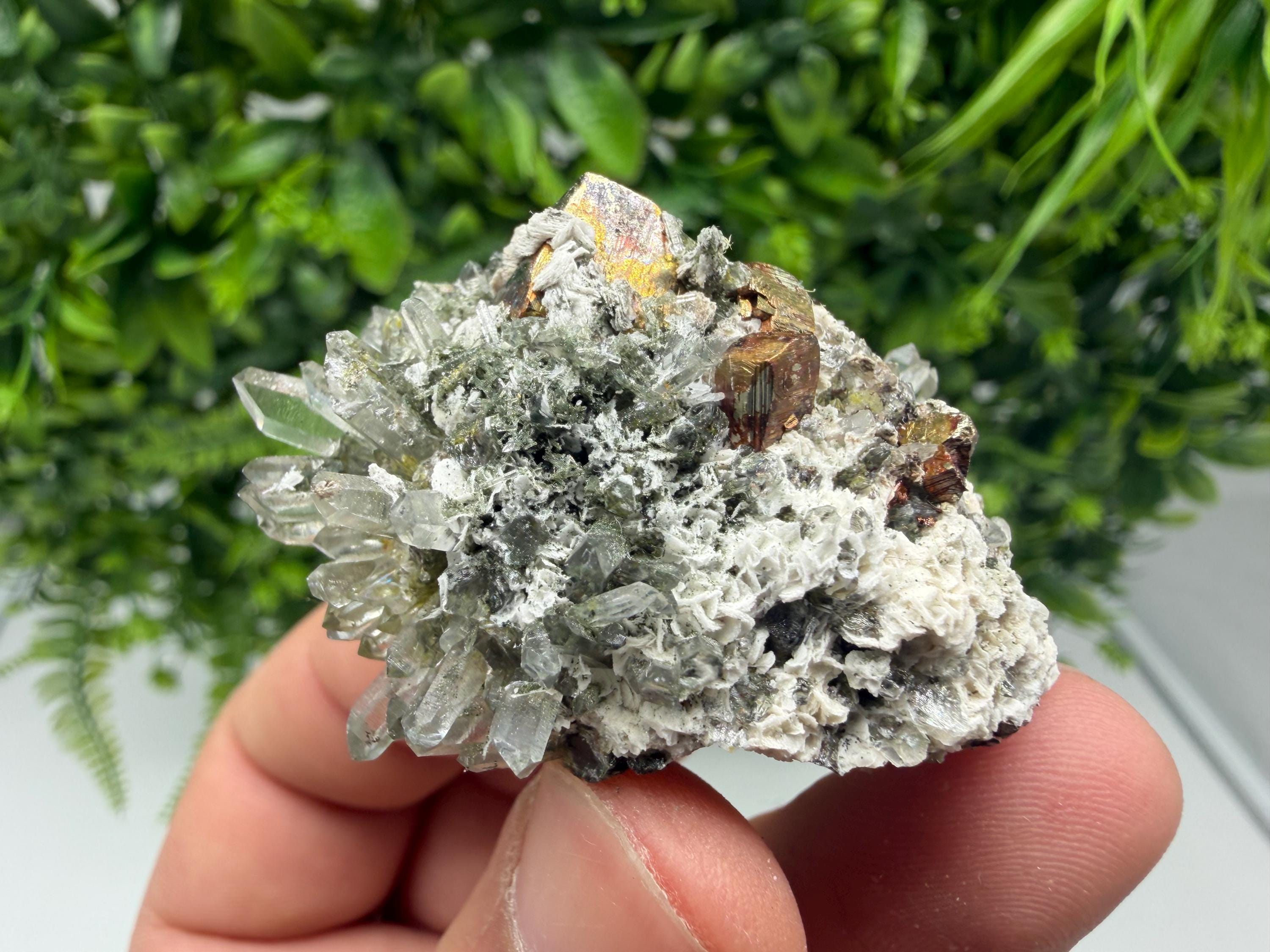 Pyrite Galena on Green Quartz, Chlorite Mineral Specimen, Bulgaria
