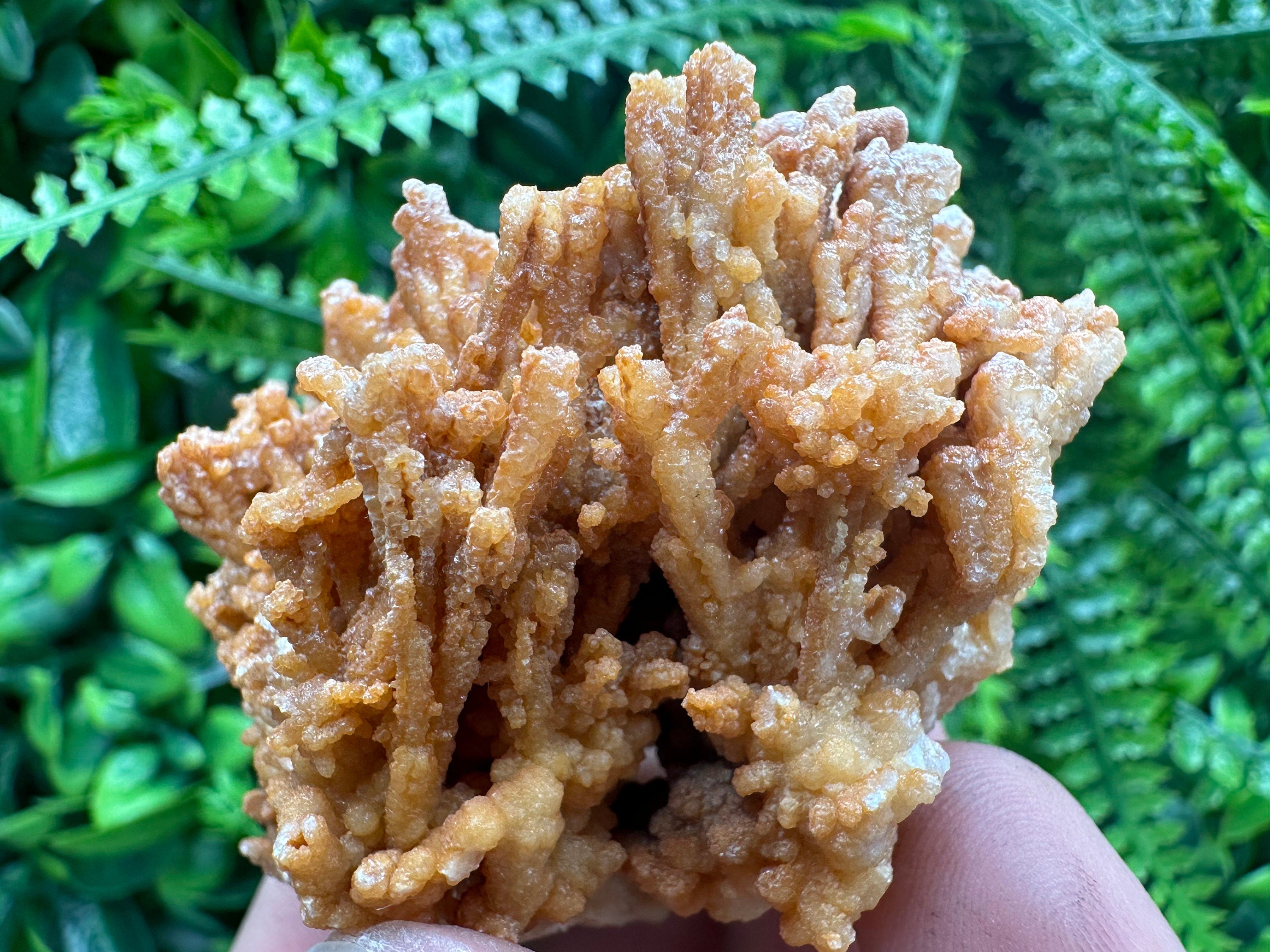 Dimitrovgrad Aragonite Cluster, Bulgaria Mineral Specimen
