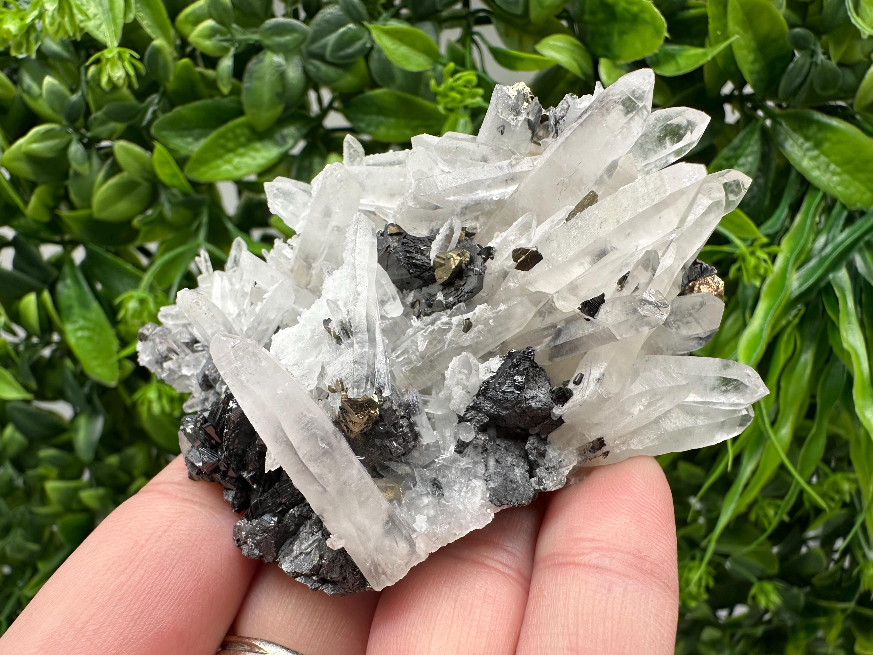 Wonderful Sphalerite Chalcopyrite on  Quartz whit Galena feom 9 th September mine,Bulgaria,natural,collection mineral specimen,gift