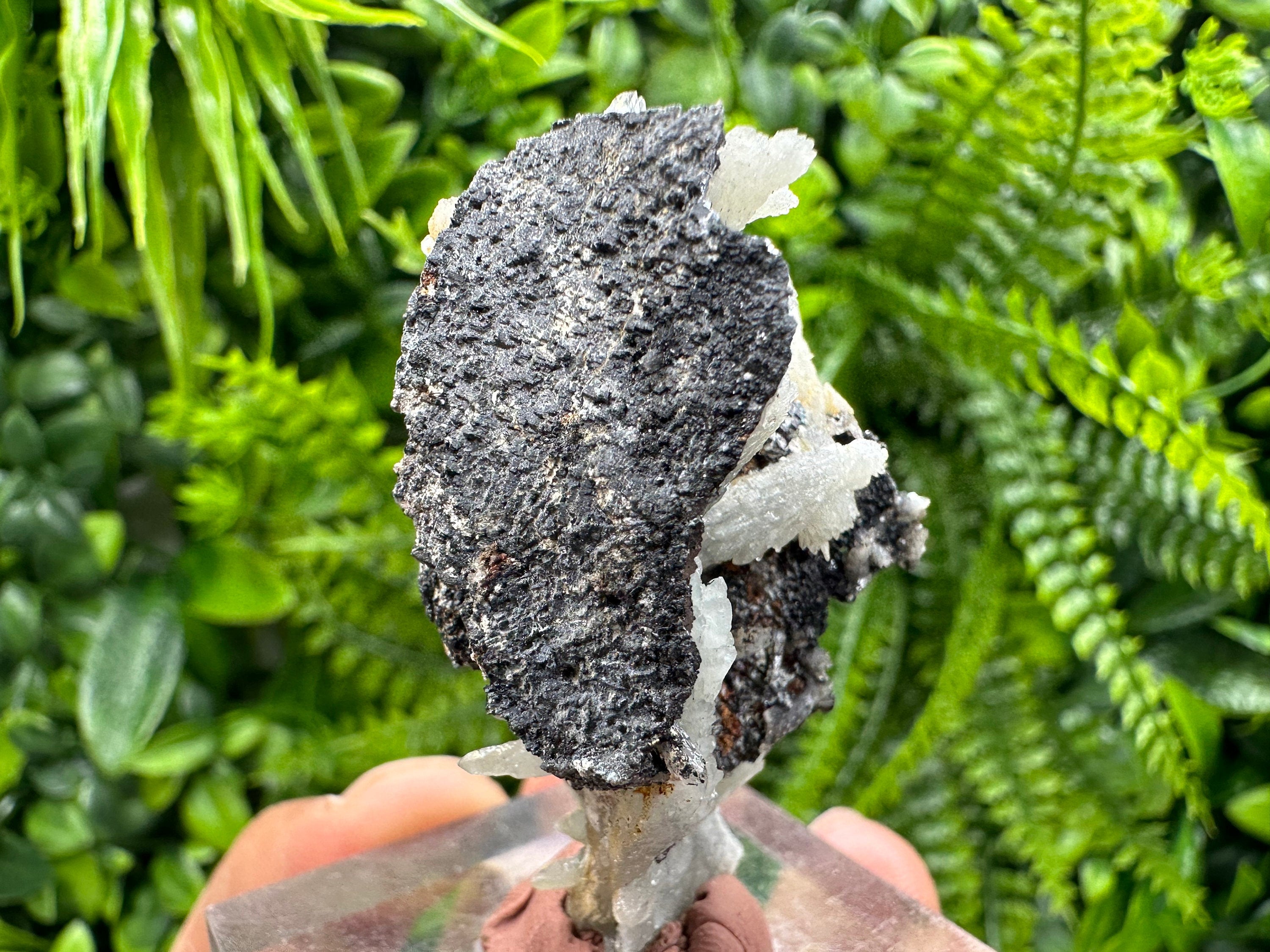 Green Quartz with Galena Chalcopyrite: Madan Bulgaria Mineral Decor