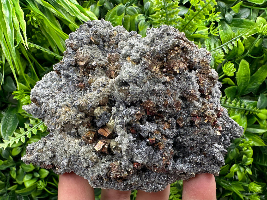Rainbow Pyrite on Quartz with Oxide, Borieva Bulgaria Mineral Specimen