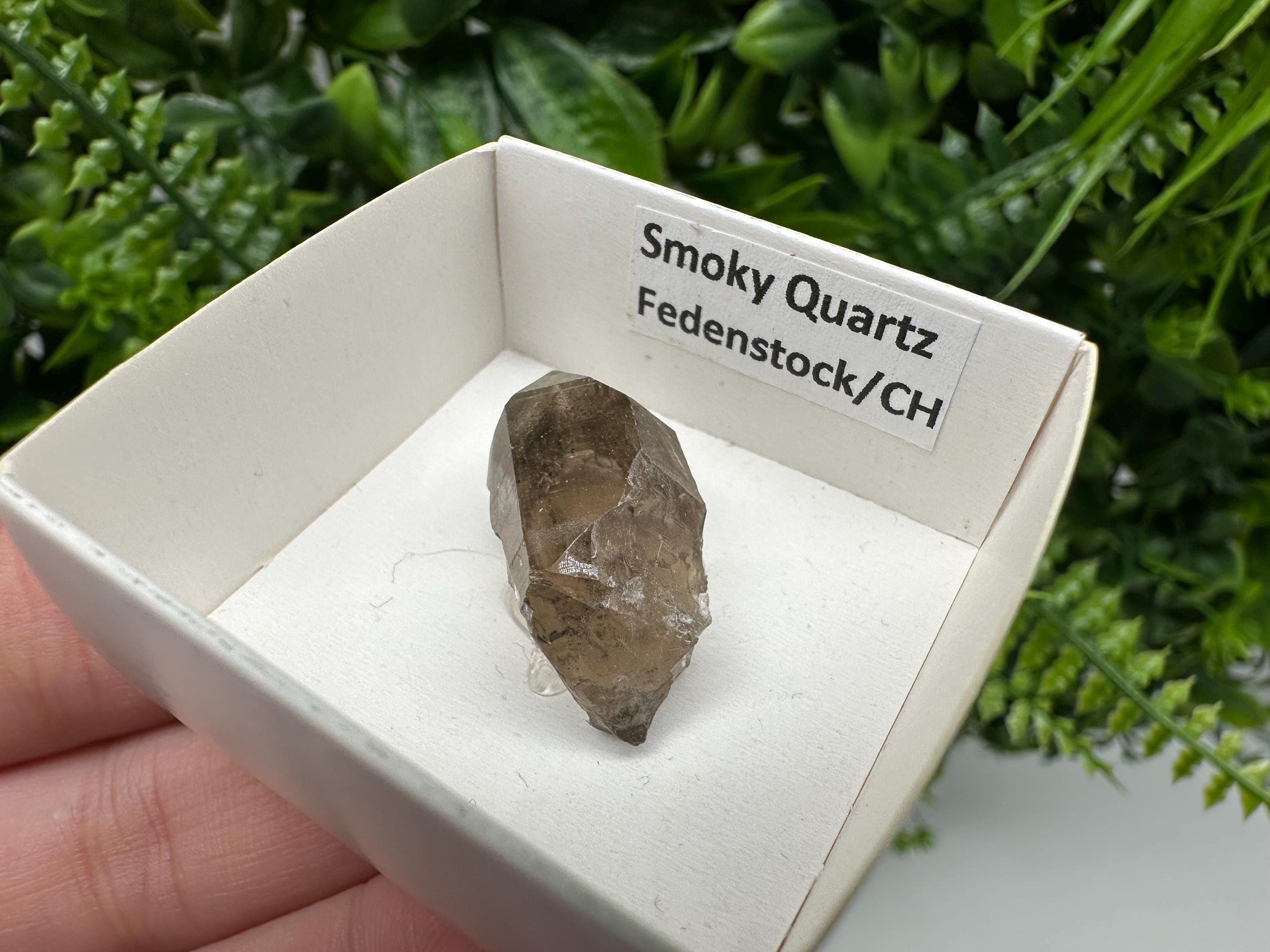 Rare Fedenstock Smoky Quartz Point, Swiss Mineral Specimen (30MM)