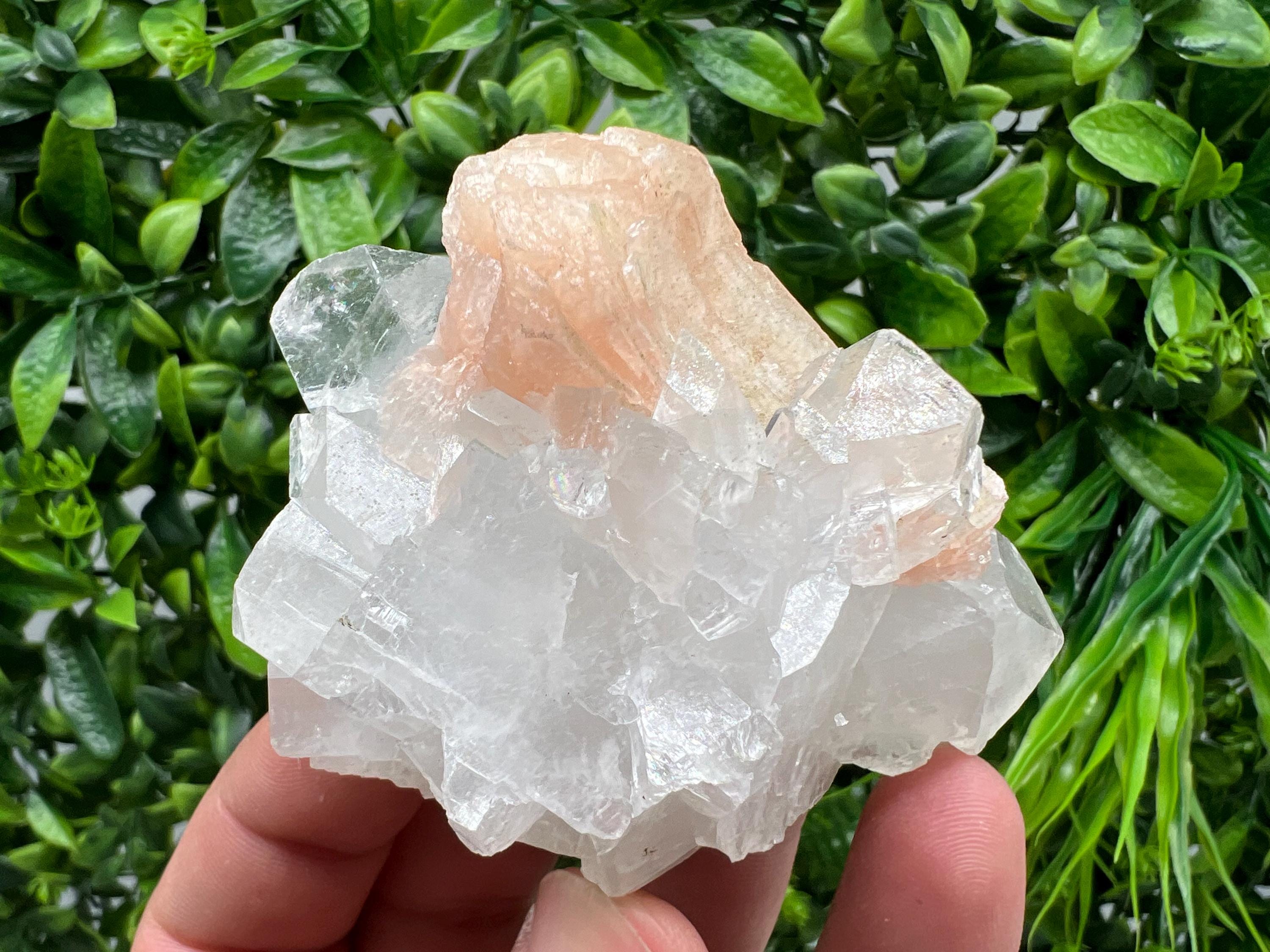 Apophyllite on Chalcedony Specimen: Natural Crystal from India