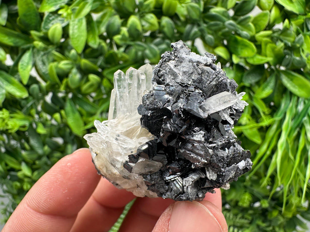 Wonderful Sphalerite Chalcopyrite on  Quartz whit Galena feom 9 th September mine,Bulgaria,natural,collection mineral specimen,gift