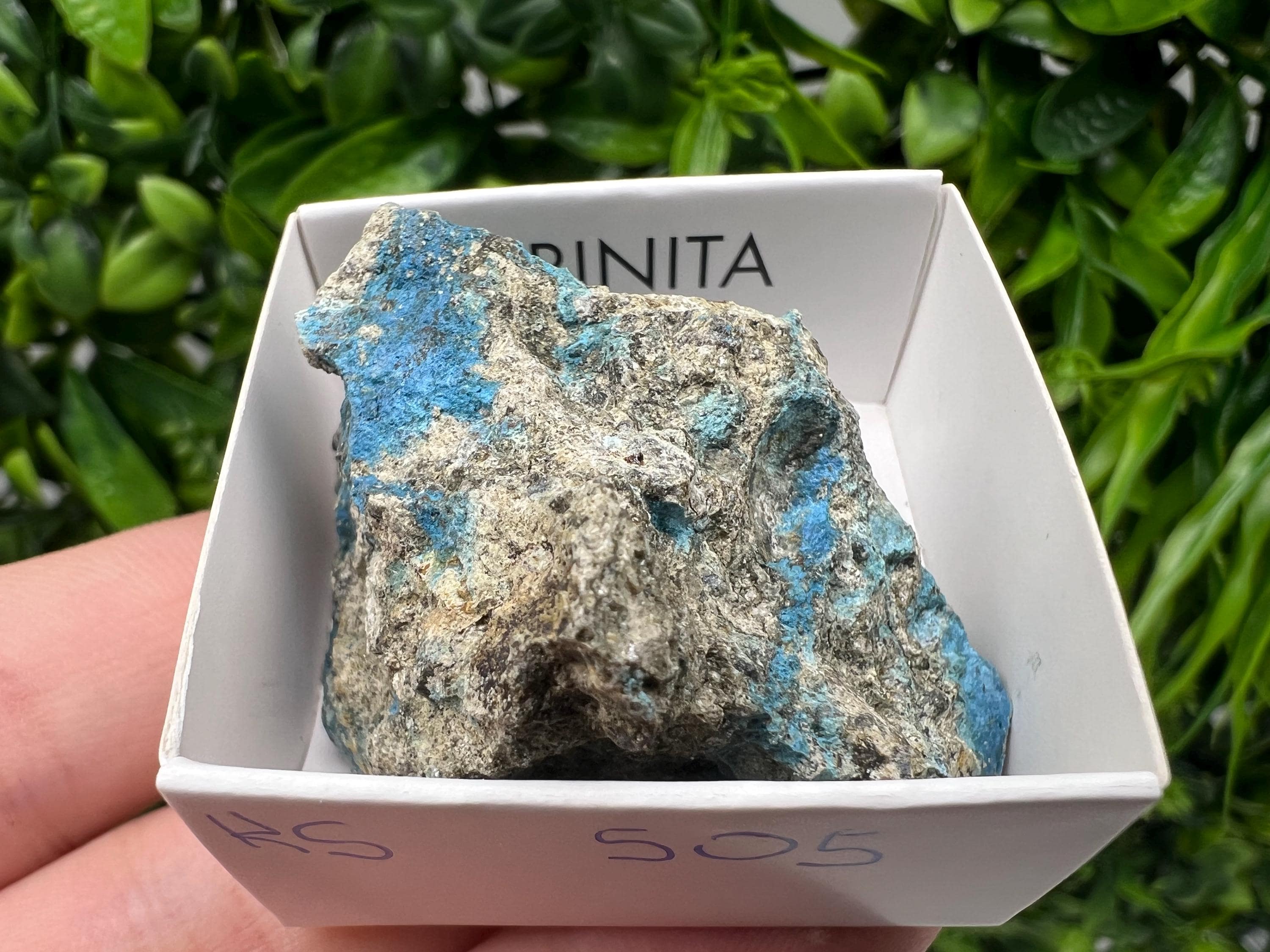 Rare Raw Aerinite Mineral Specimen: Lleida Spain Crystal Collection