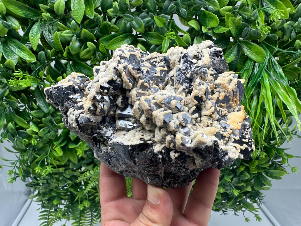 Skeletal Galena with Dolomite: Krushev Dol Mine, Bulgaria