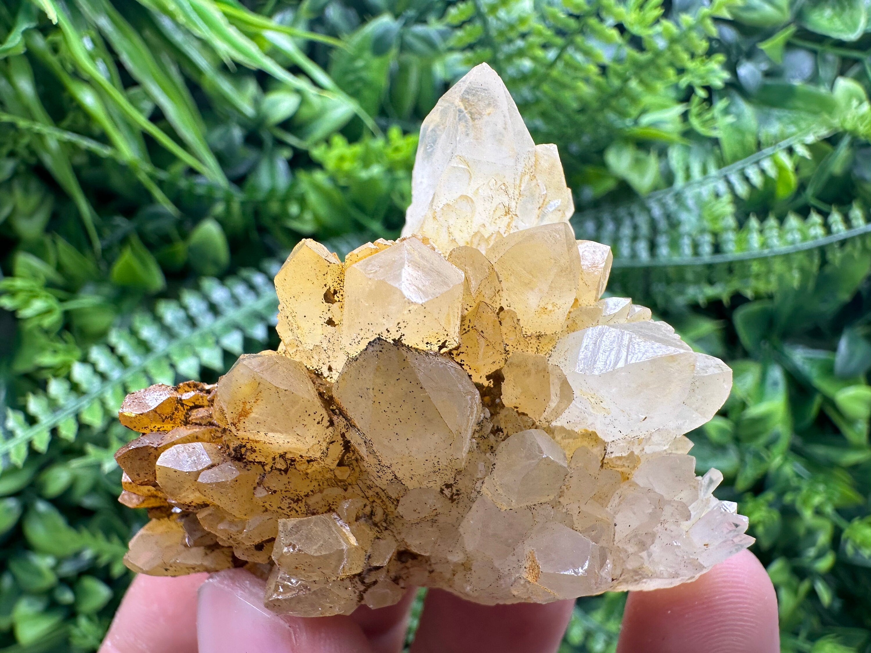 Transparent Quartz Cluster: Natural Mineral Specimen, Bulgaria