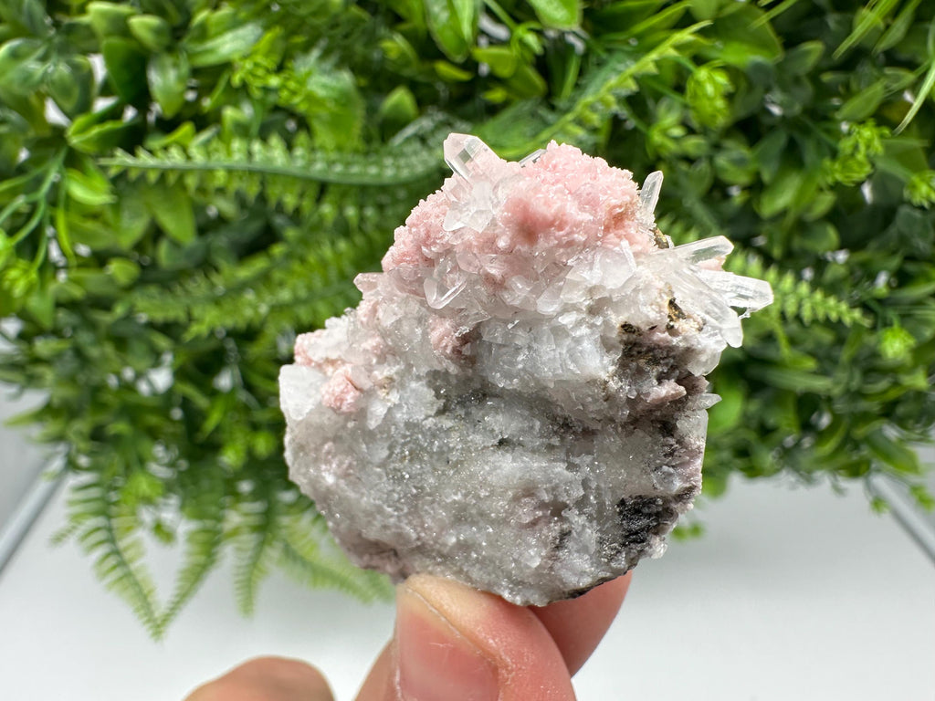 Pink Rhodochrosite Crystal, Starnica Mine, Bulgaria, Mineral Decor