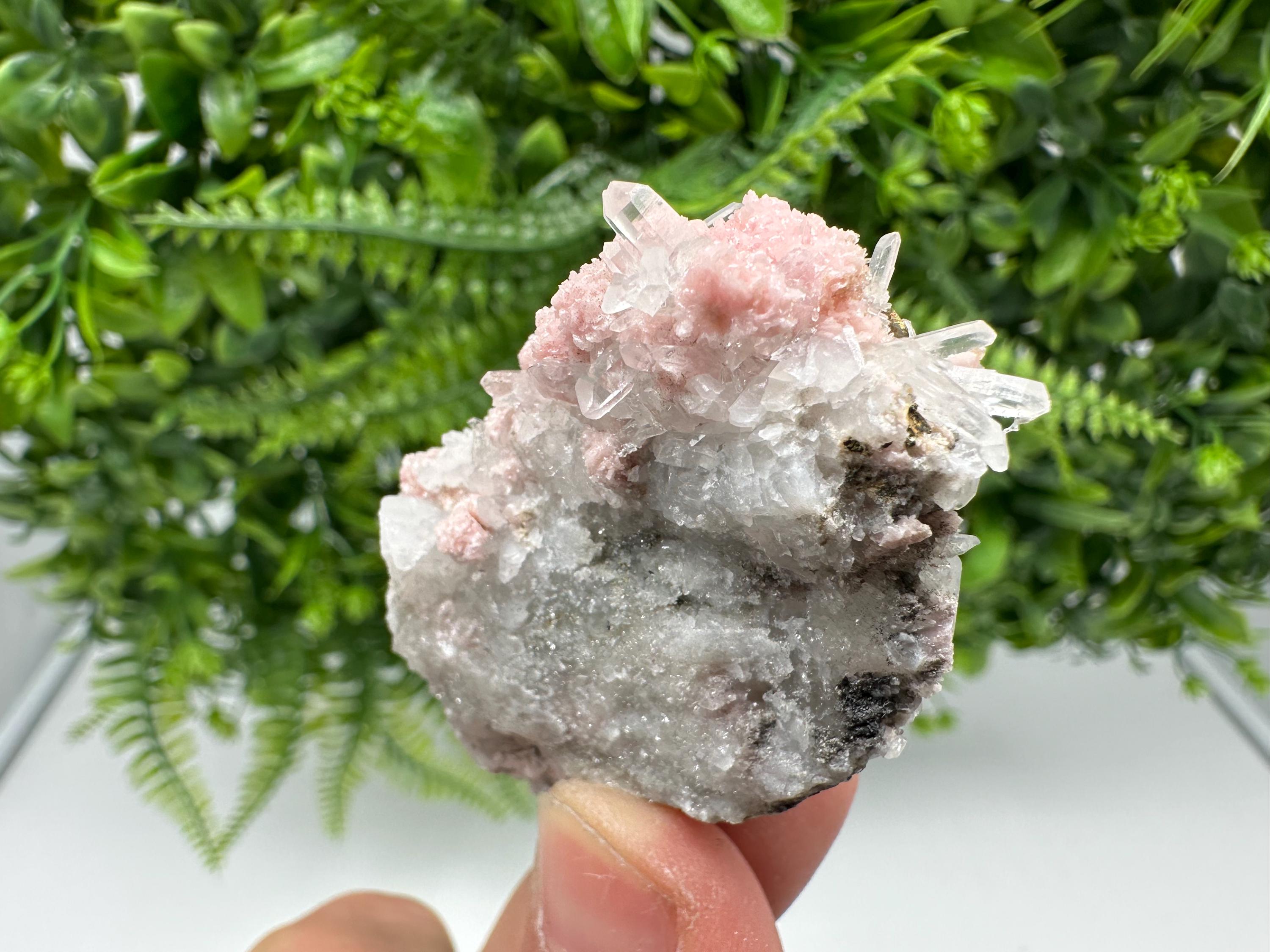 Pink Rhodochrosite Crystal, Starnica Mine, Bulgaria, Mineral Decor