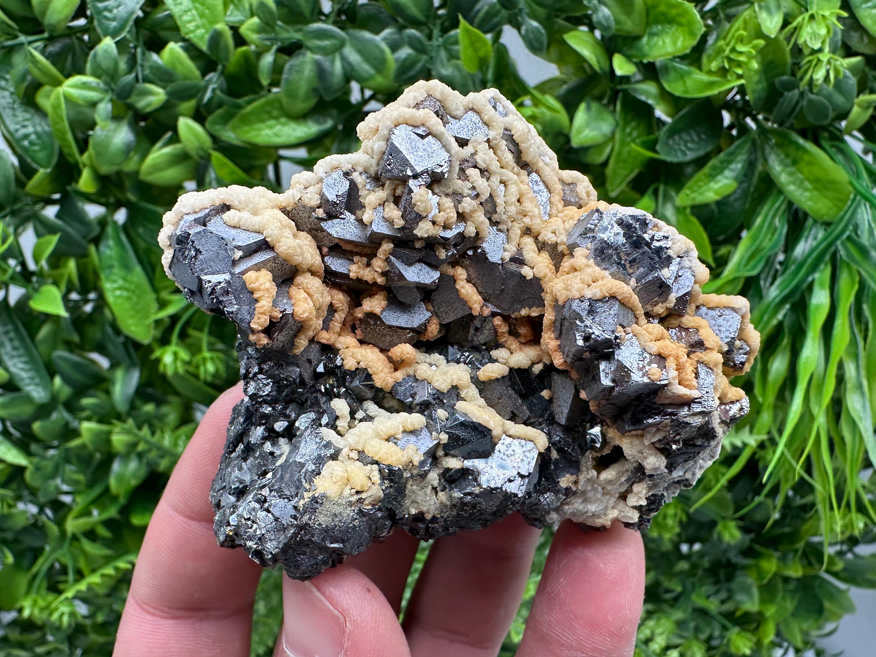 Galena with Dolomite Cluster, Krushev dol Bulgaria