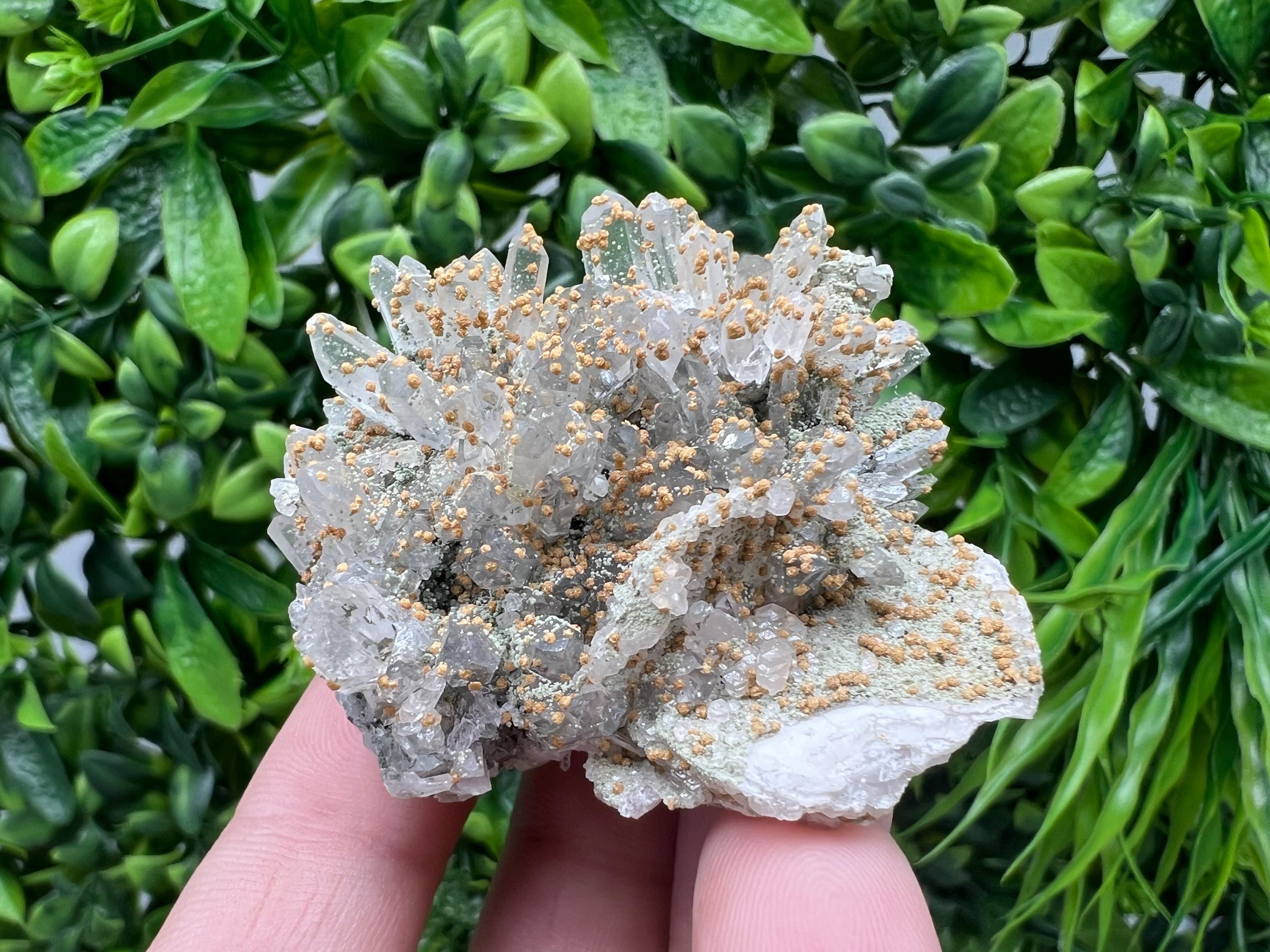 Quartz whit Brown Rhodochrosite from Djurcovo mine,Bulgaria,Quartz,Rhodochrosite cluster,natural mineral,collection crystal,mineral specimen