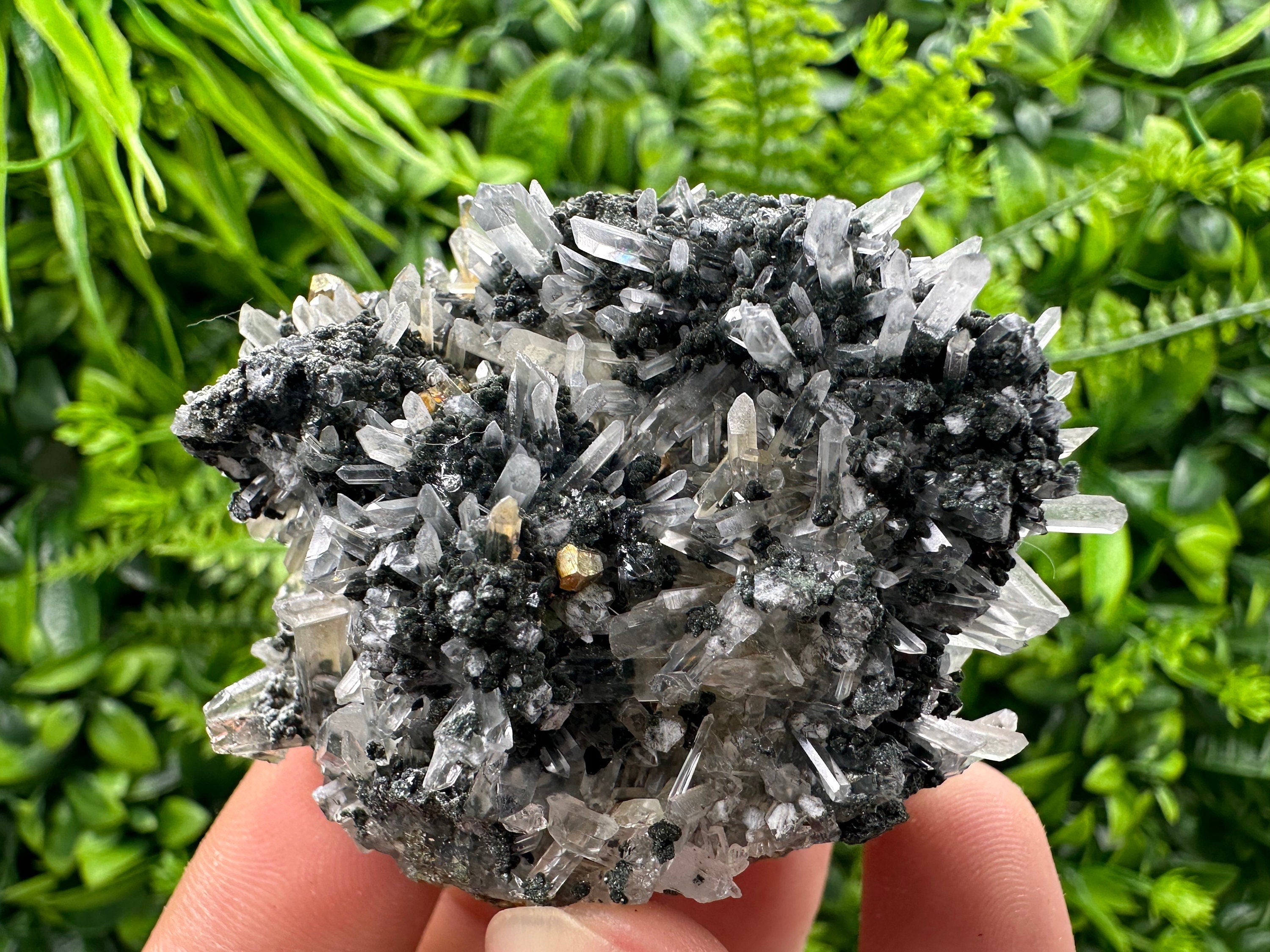 Chlorite Quartz Crystal: Iron Oxide Mineral Specimen, Borieva Bulgaria