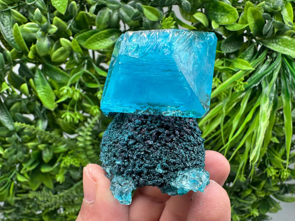 Exceptional Turquoise ALUNITE Aqua Crystal on Matrix UV Active, lab minerals