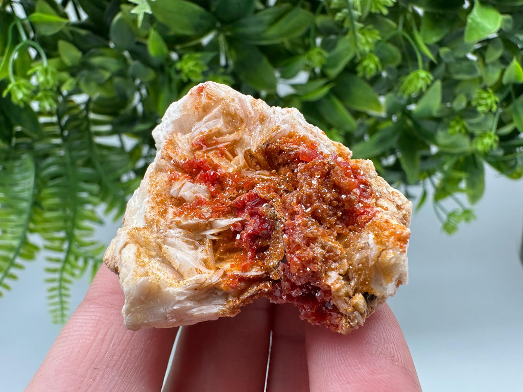 Red Vanadinite on Barite from Marocco,crystal minerals Speciment cluster Vanadinite crystal Vanadinite Geology Vanadinite cluster minerals