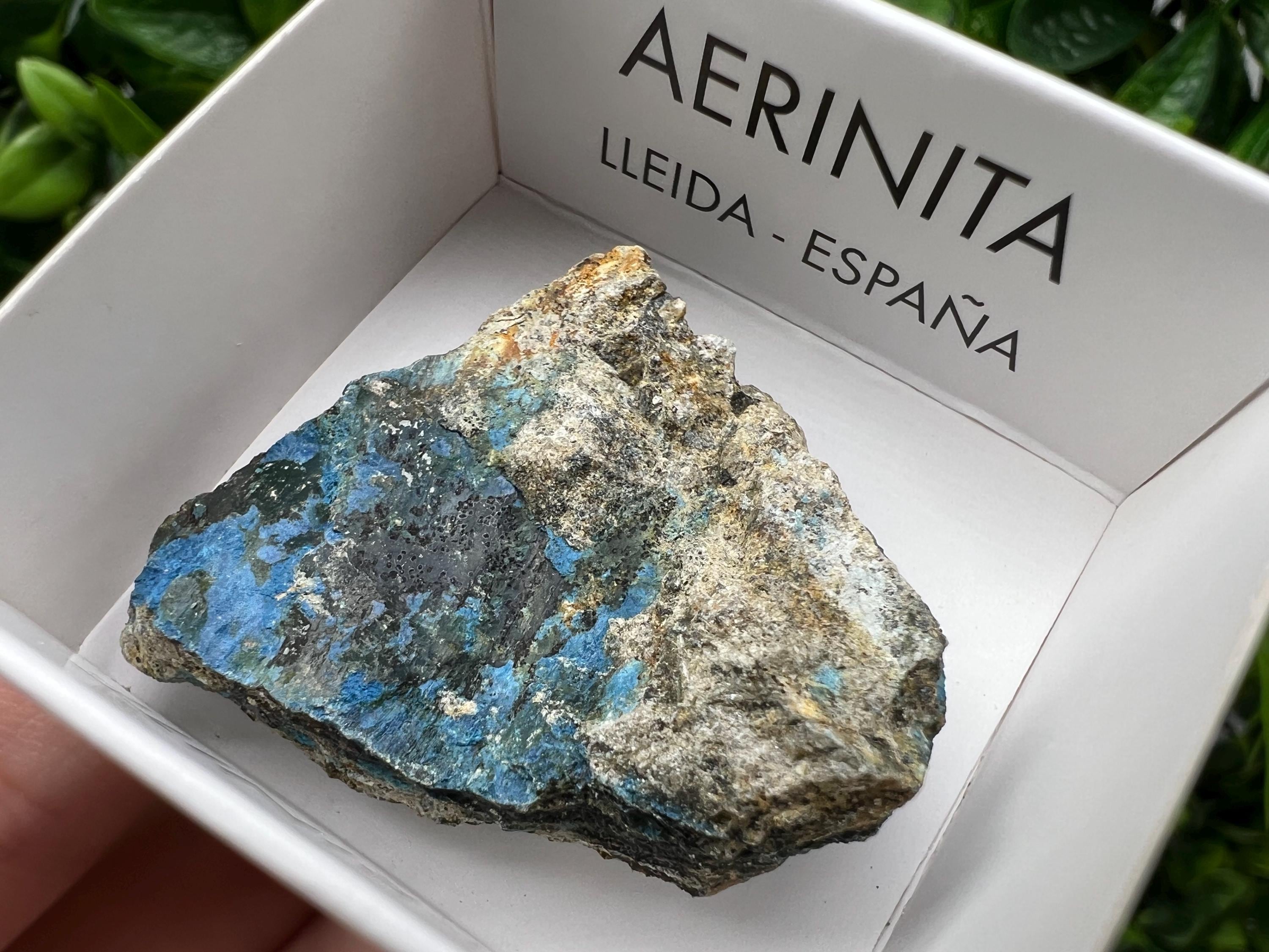 Rare Raw Aerinite Mineral Specimen: Collection Crystal from Lleida, Spain (3.5/3 cm