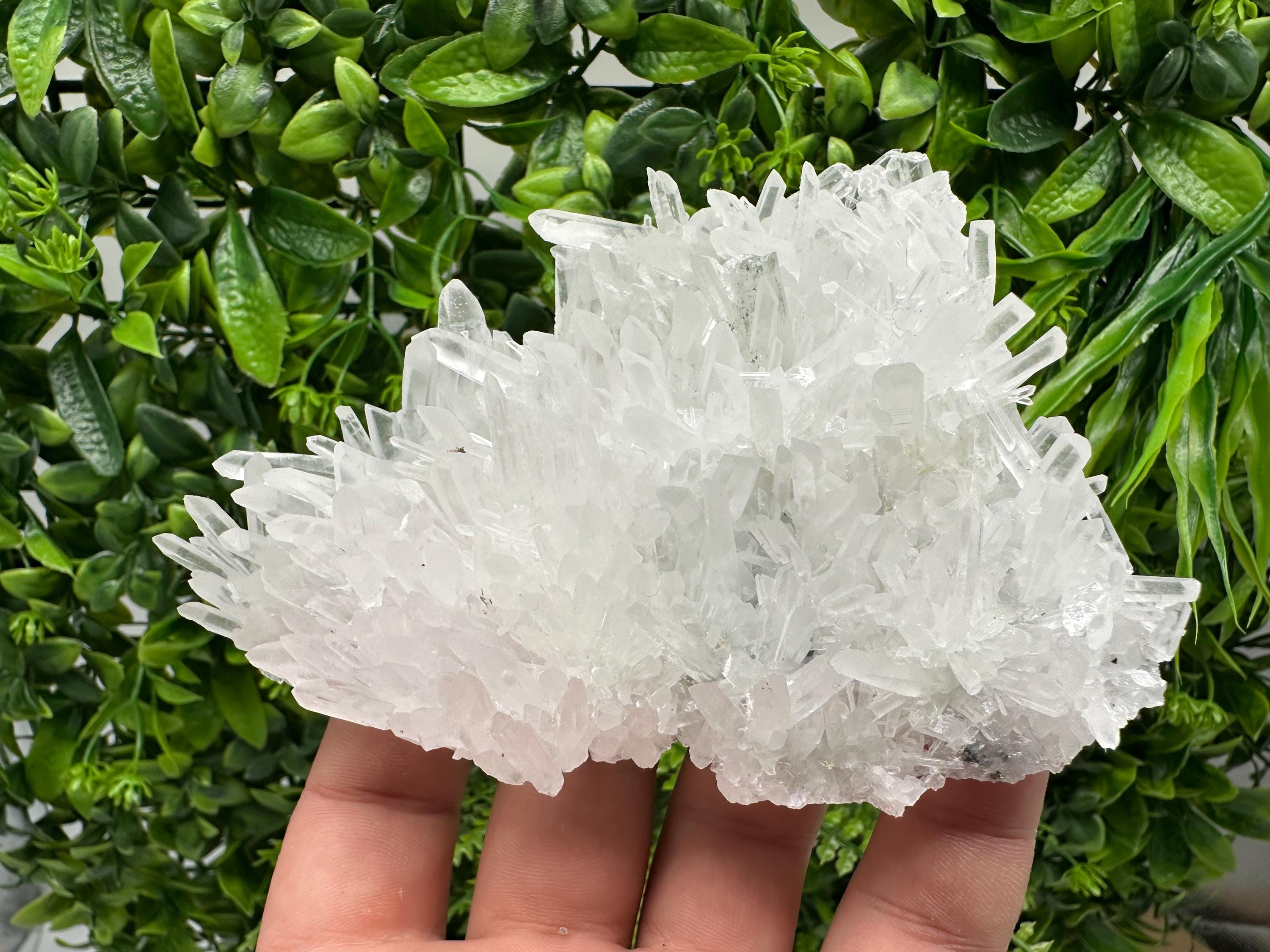 Stunning Transparent Quartz,from Borieva mine,natural collection mineral specimen rare crystal,home decor crystal,quartz cluster,Quartz,gift