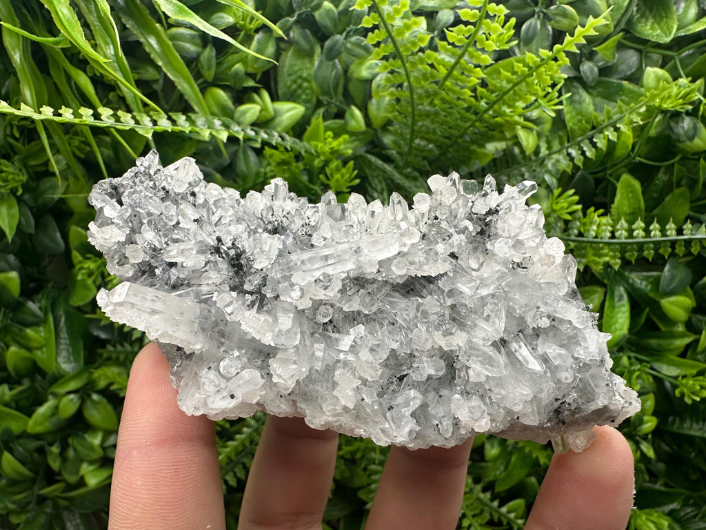Transparent Quartz Cluster, Borieva Mine Crystal Specimen