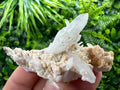 Quartz with Chlorite, Rhodochrosite & Siderite Mineral Specimen