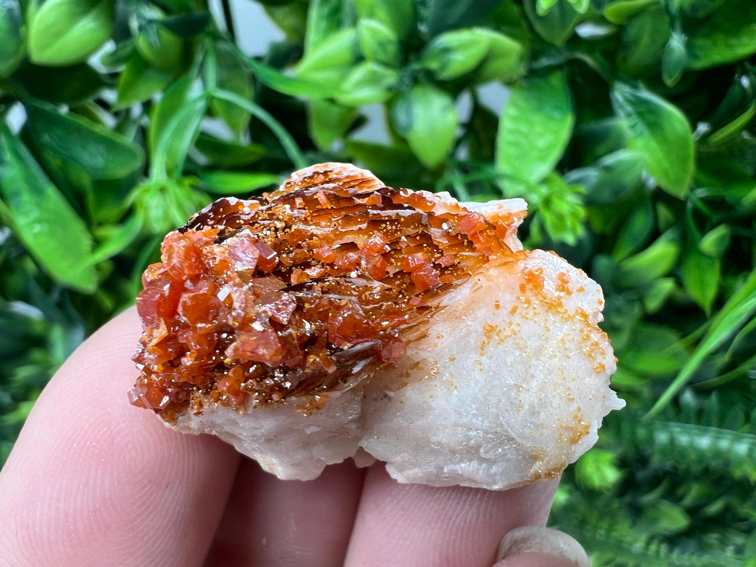 Red Vanadinite on Barite from Marocco,crystal minerals Speciment cluster Vanadinite crystal Vanadinite Geology Vanadinite cluster minerals