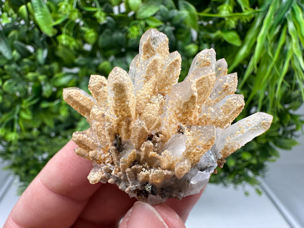 Transparent Quartz whit Siderite 9th September mine Bulgaria natural minerals souvenir crystal stone gift minerals collection rock