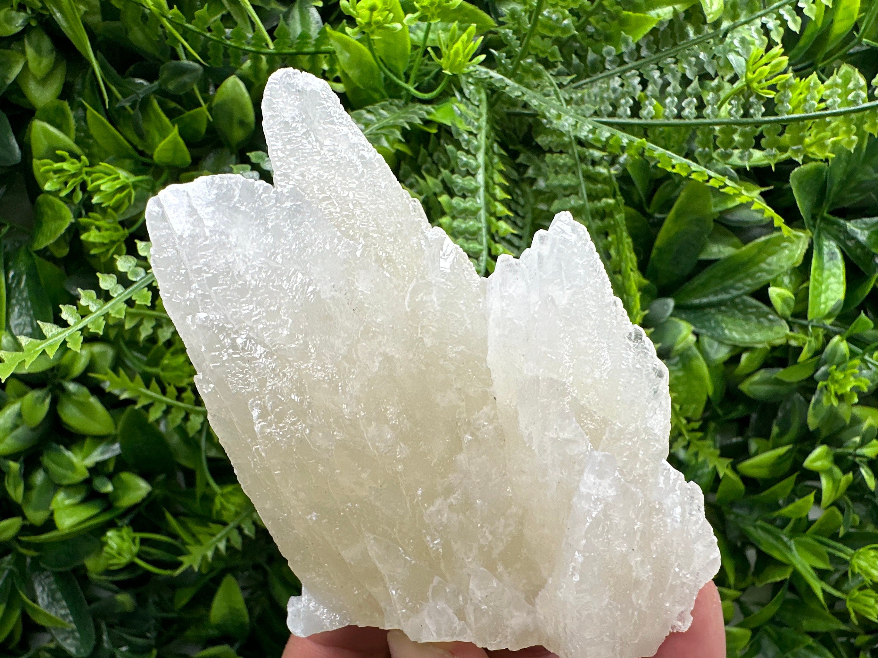 Rare UV Calcite Cluster: Djurcovo Mine, Bulgaria - Home Decor