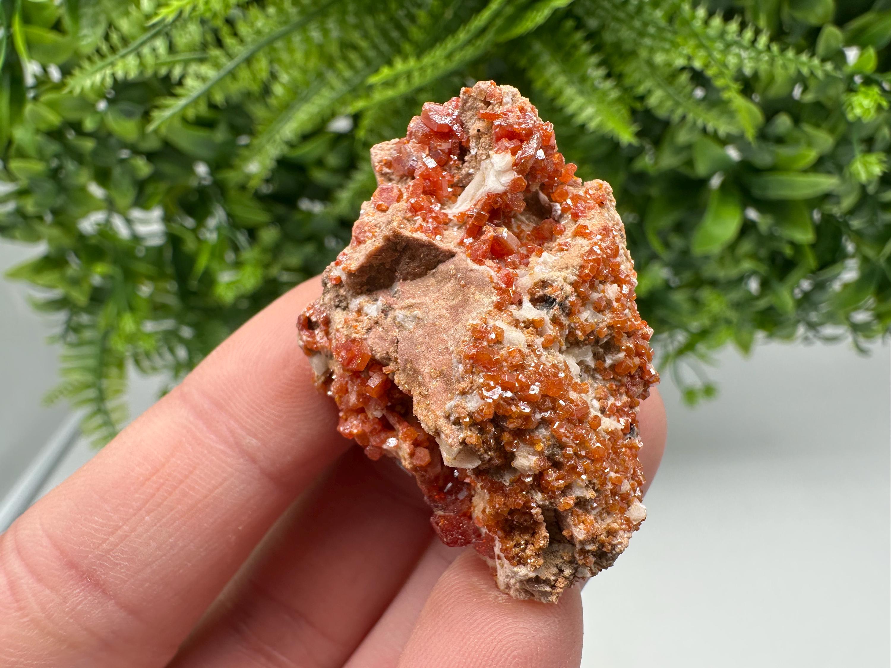 Red Vanadinite on Matrix from Marocco,crystal minerals Speciment cluster Vanadinite crystal Vanadinite Geology Vanadinite cluster minerals