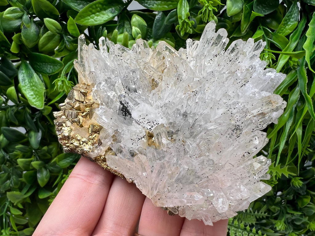 Stunning Transparent Quartz,from Borieva mine,natural collection mineral specimen rare crystal,home decor crystal,quartz cluster,Quartz,gift