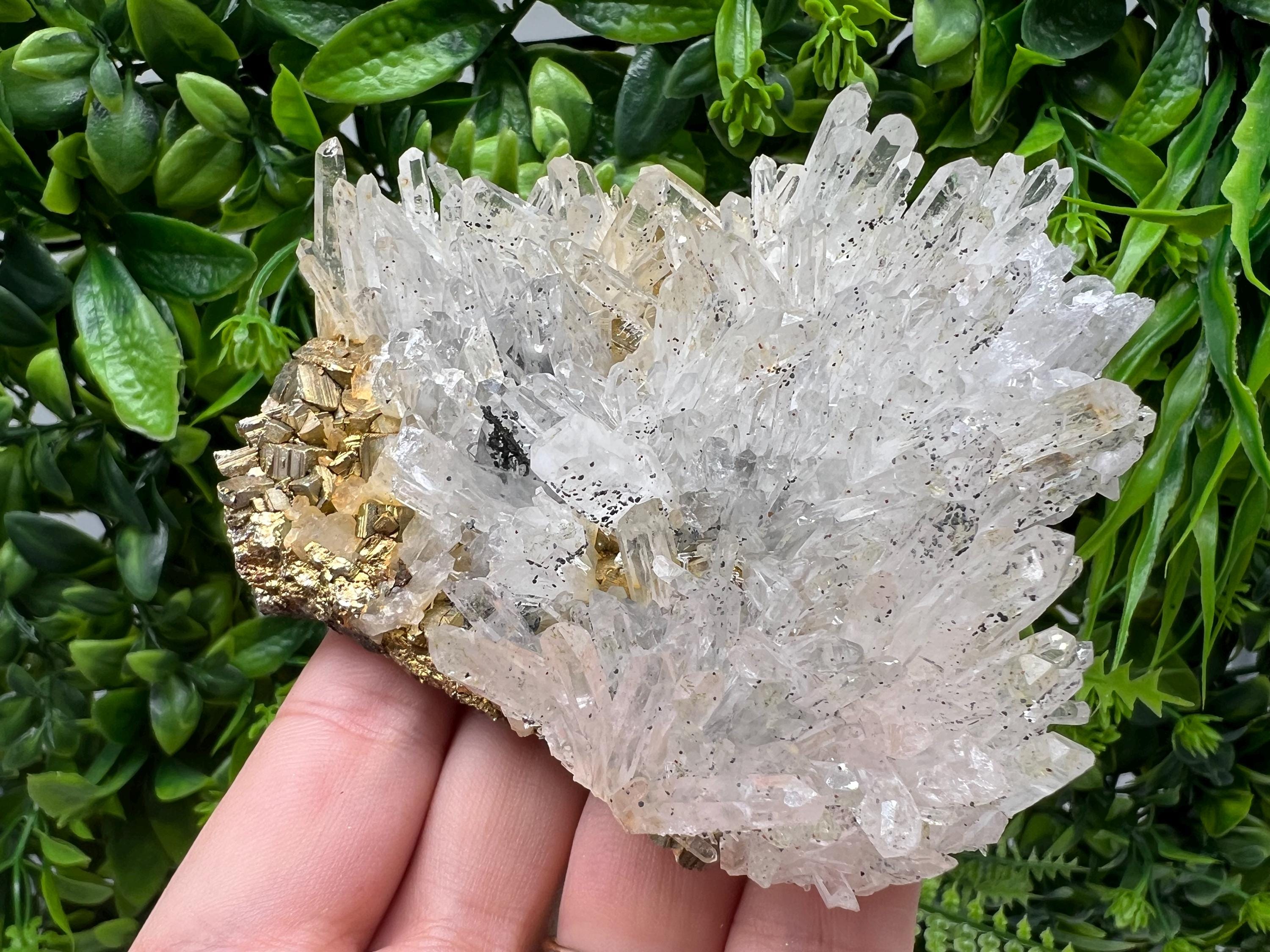 Stunning Transparent Quartz,from Borieva mine,natural collection mineral specimen rare crystal,home decor crystal,quartz cluster,Quartz,gift