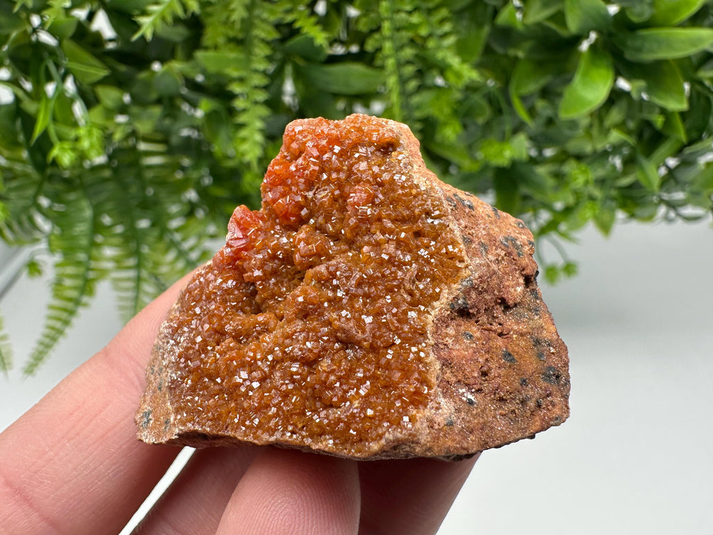 Red Vanadinite on Matrix from Marocco,crystal minerals Speciment cluster Vanadinite crystal Vanadinite Geology Vanadinite cluster minerals