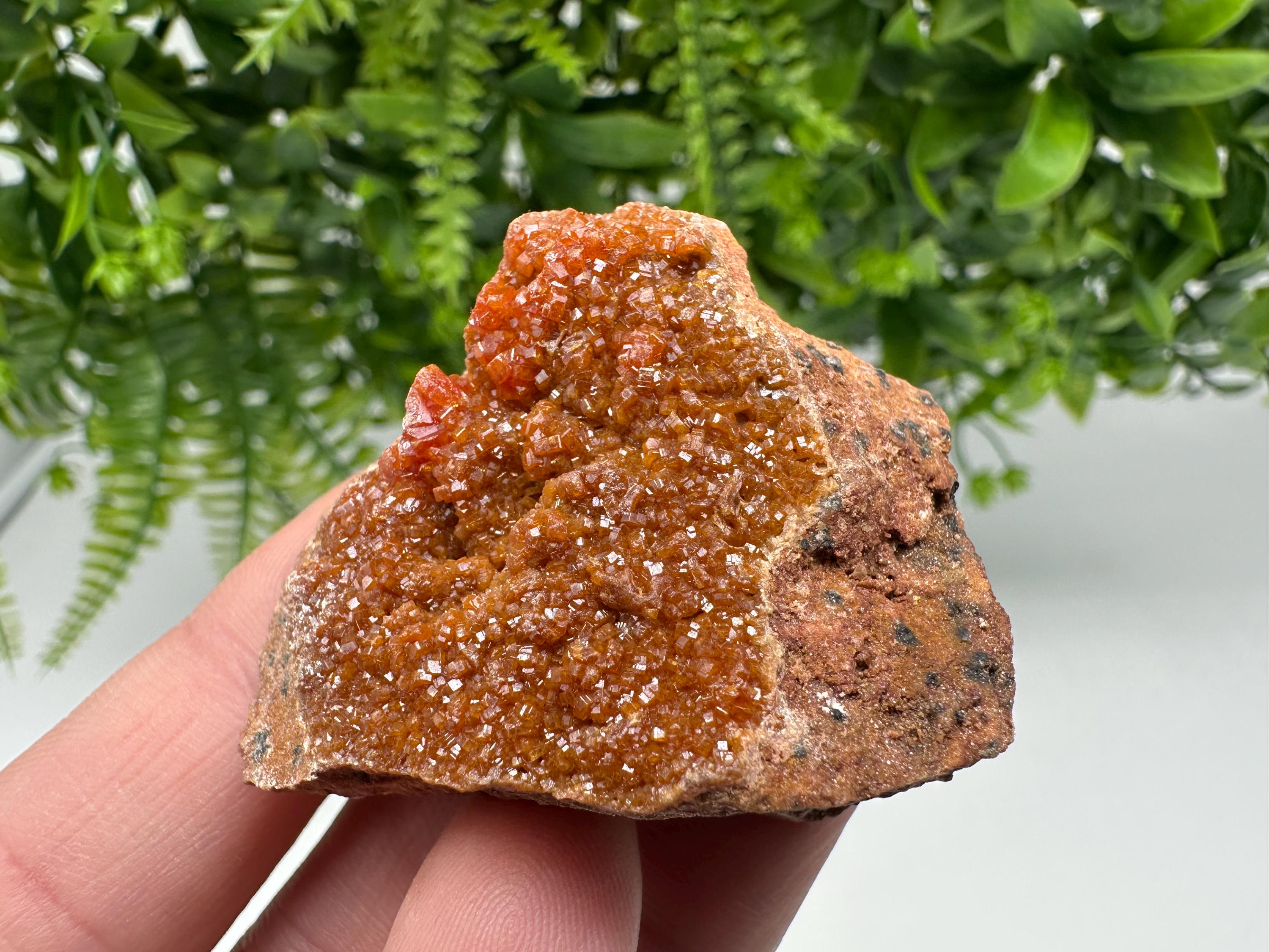 Red Vanadinite on Matrix from Marocco,crystal minerals Speciment cluster Vanadinite crystal Vanadinite Geology Vanadinite cluster minerals