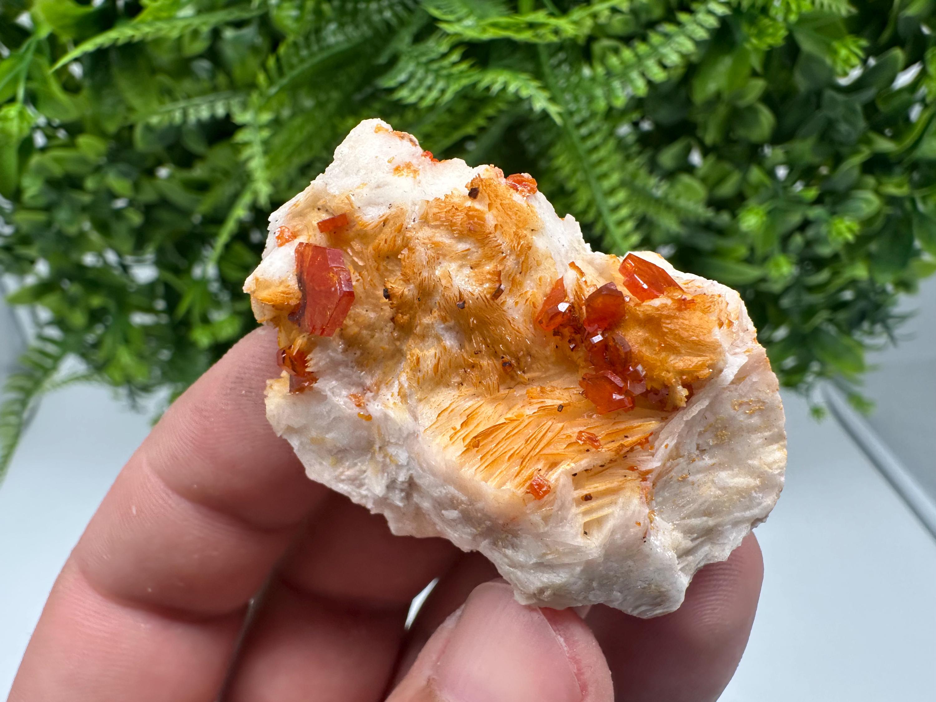 Red Vanadinite on Barite from Marocco,crystal minerals Speciment cluster Vanadinite crystal Vanadinite Geology Vanadinite cluster minerals
