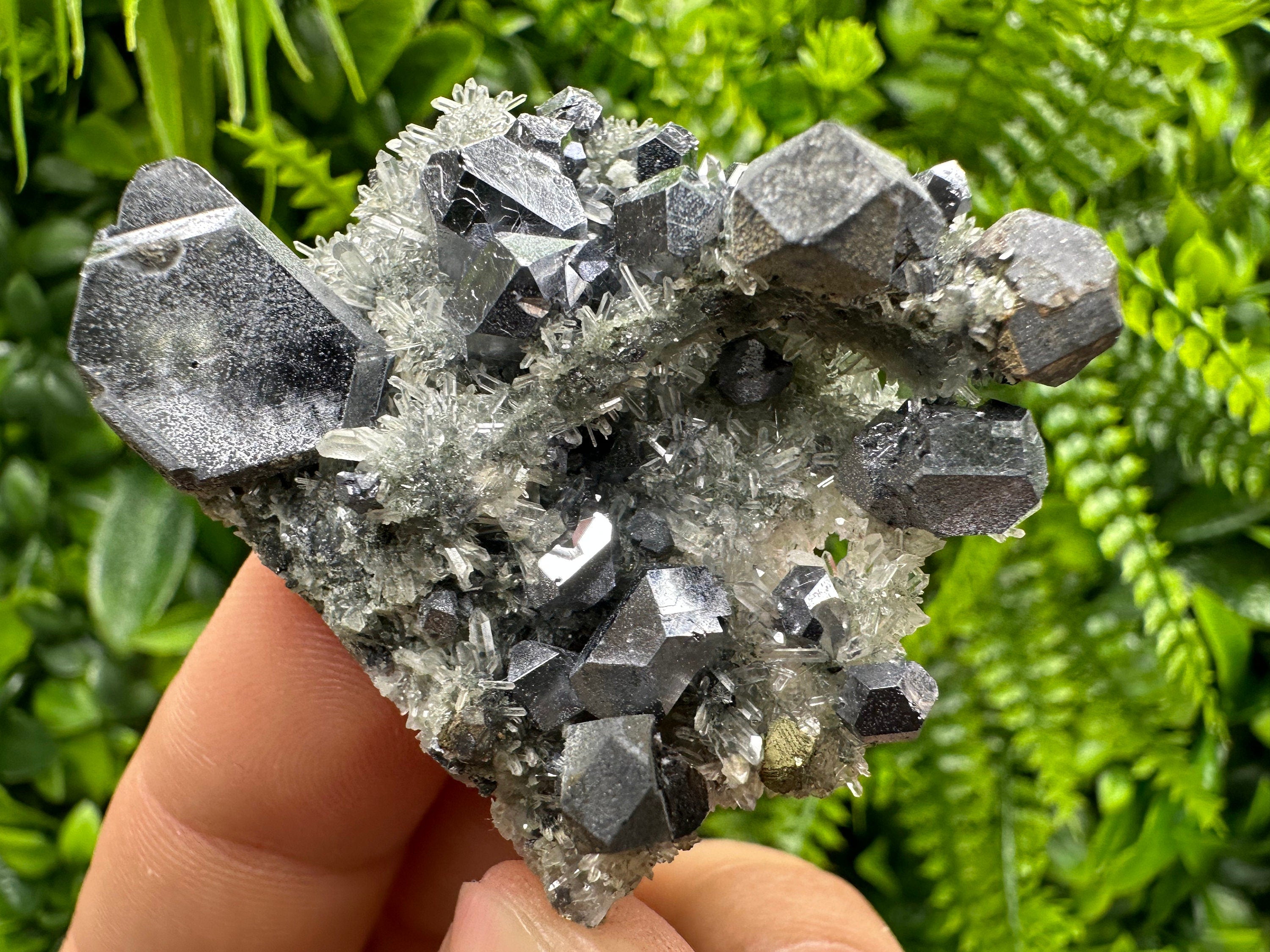 Skeletal Galena on Quartz, Borieva Mine Mineral Specimen