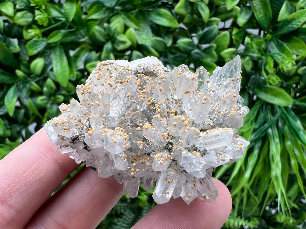 Quartz whit Brown Rhodochrosite from Djurcovo mine,Bulgaria,Quartz,Rhodochrosite cluster,natural mineral,collection crystal,mineral specimen