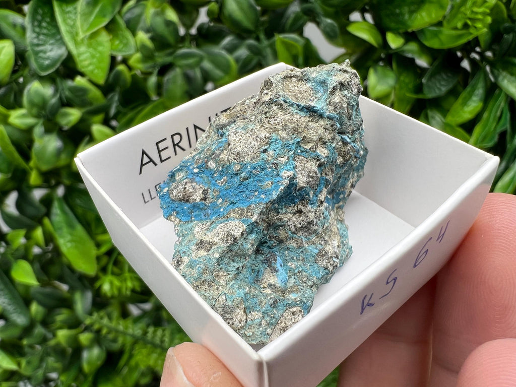 Rare Raw Aerinite Mineral Specimen: Lleida, Spain (4.5/3.5 CM)