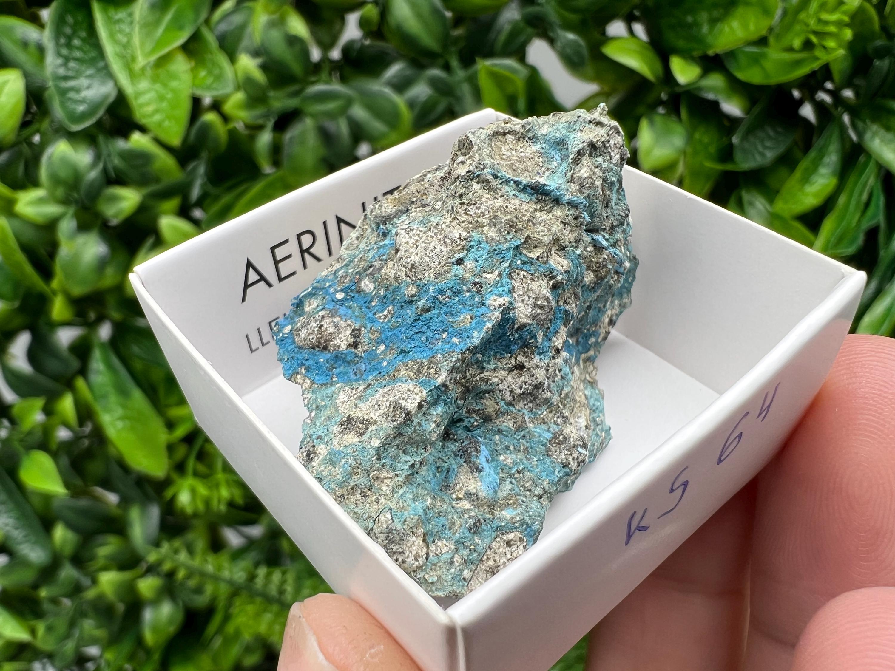 Rare Raw Aerinite Mineral Specimen: Lleida, Spain (4.5/3.5 CM)