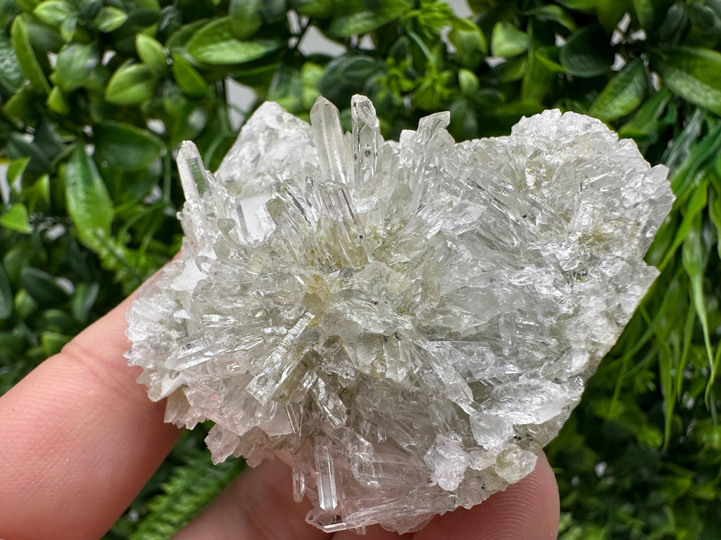 Quartz Calcite on Chlorite Matrix, Rare Mineral Specimen, Bulgaria