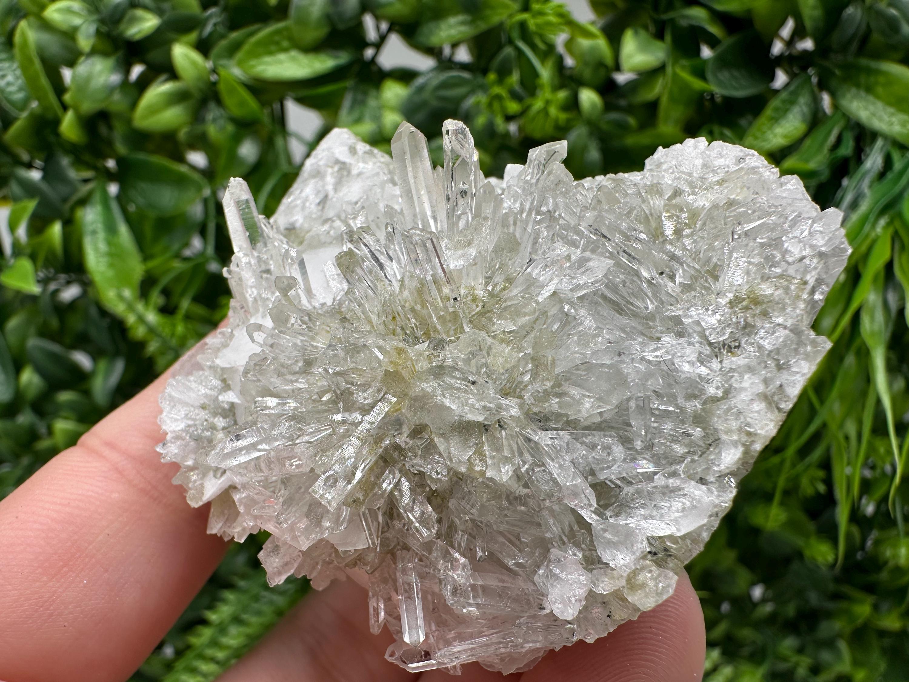 Quartz Calcite on Chlorite Matrix, Rare Mineral Specimen, Bulgaria