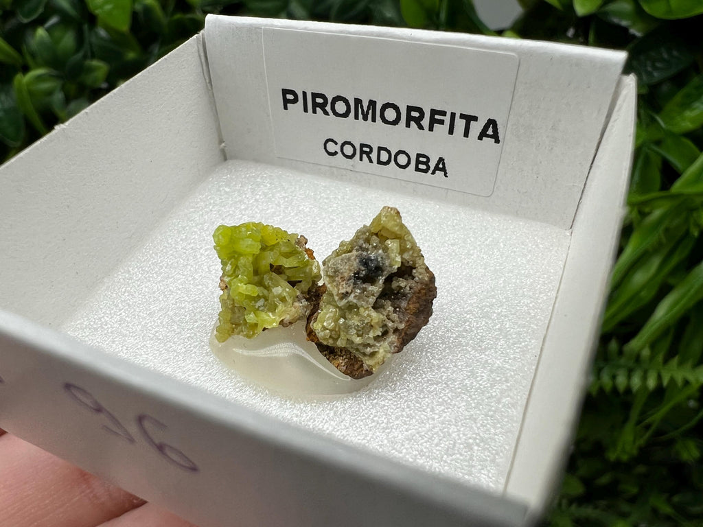 Pyromorphite Stone / Pyromorphite on Matrix / Pyromorphite Crystal / Raw Crystal / Pyromorphite Cluster / Rough Pyromorphite / Pyromorphite