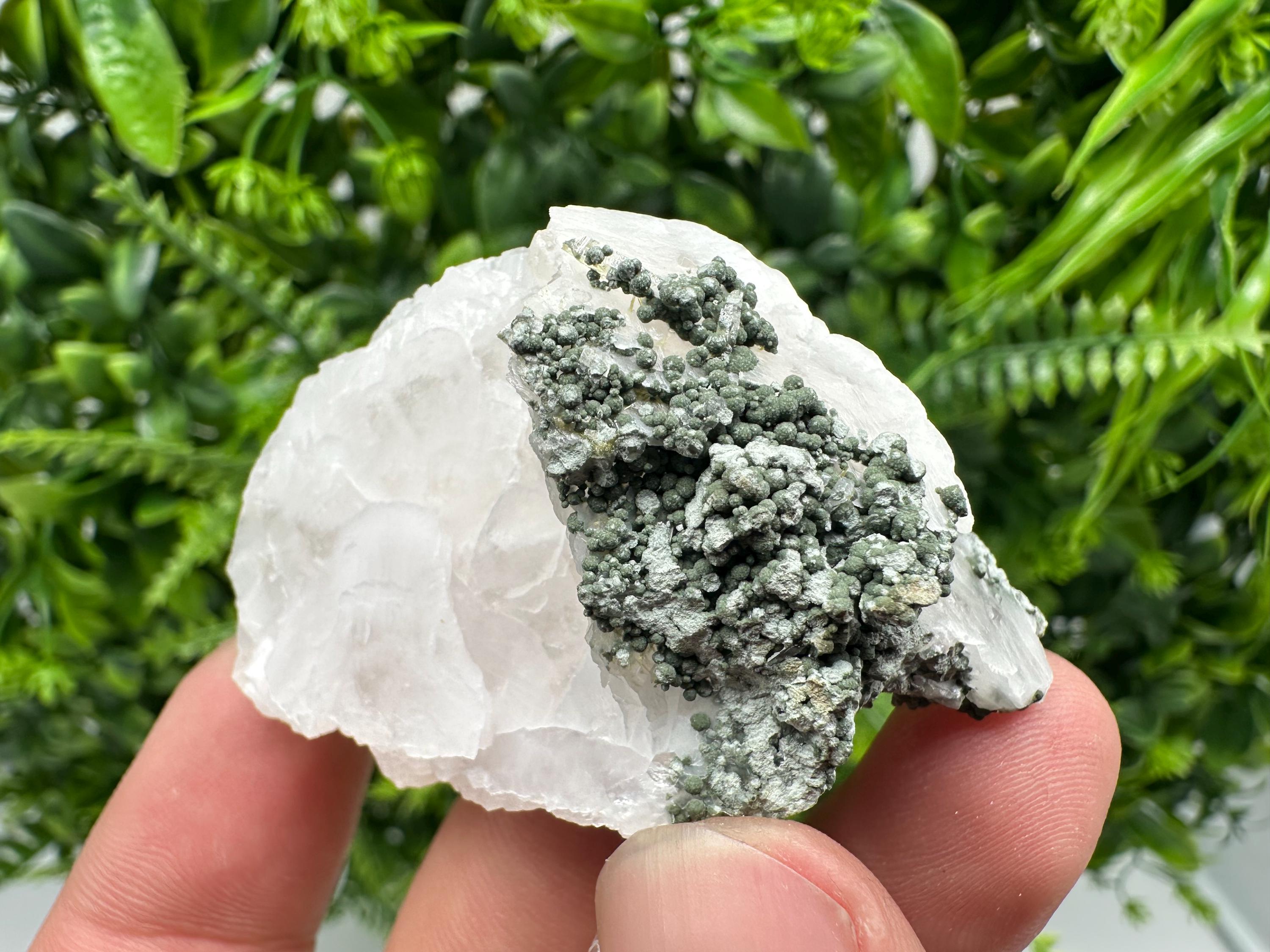 Calcite on Green Quartz: Djurcovo Mine, Bulgaria Crystal